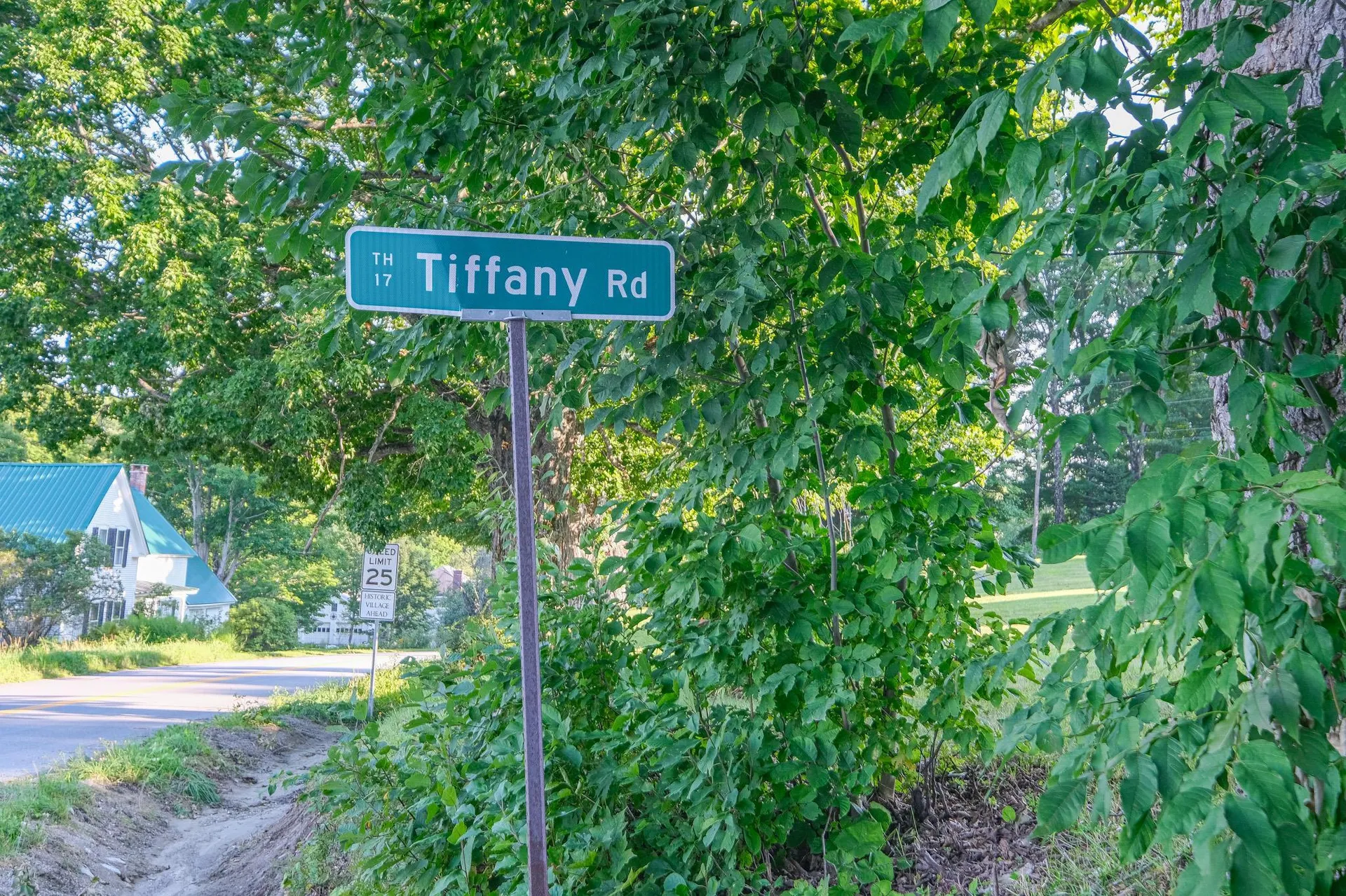 0 Tiffany Road Mount Holly VT 05730