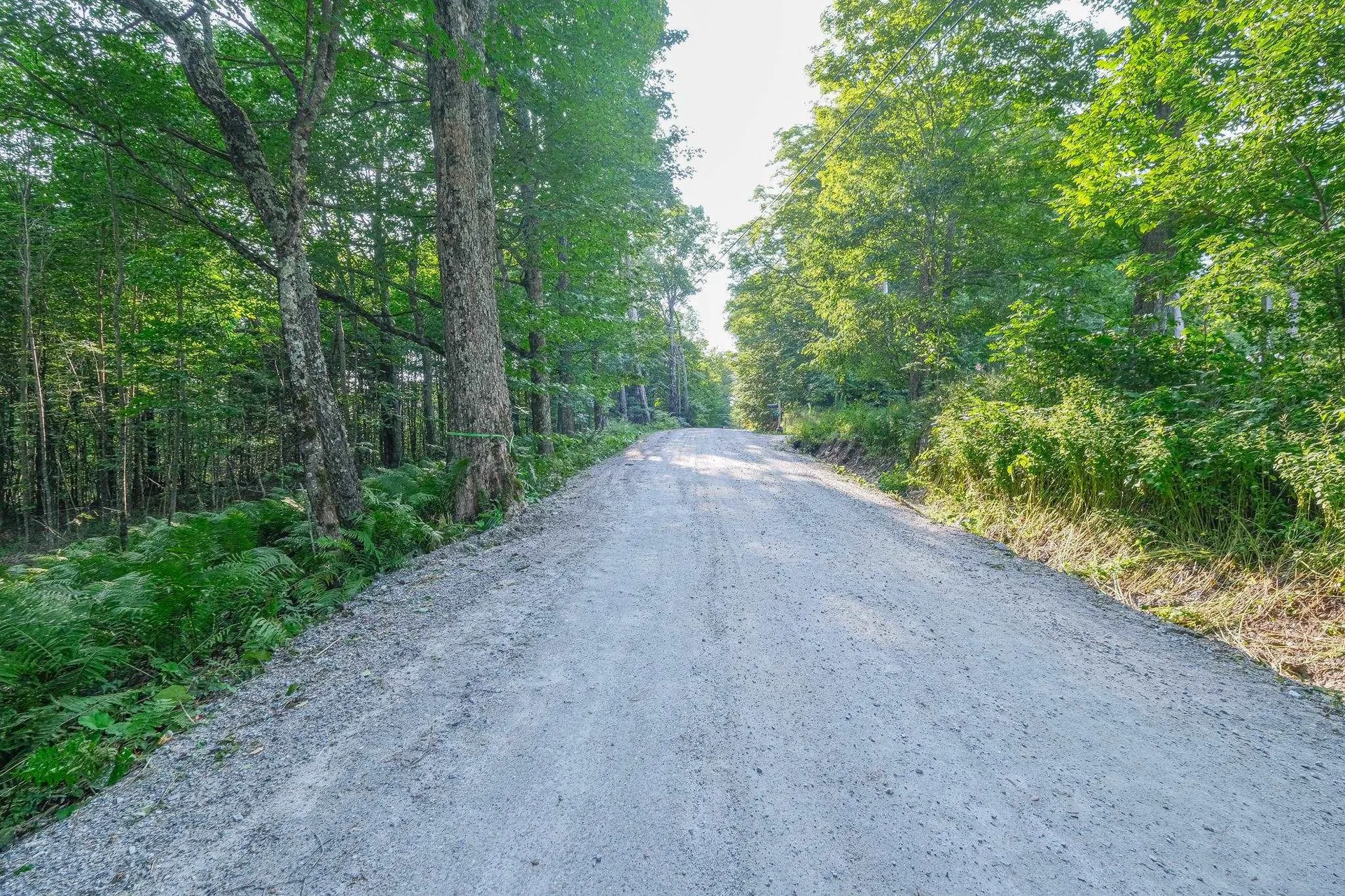 0 Tiffany Road Mount Holly VT 05730