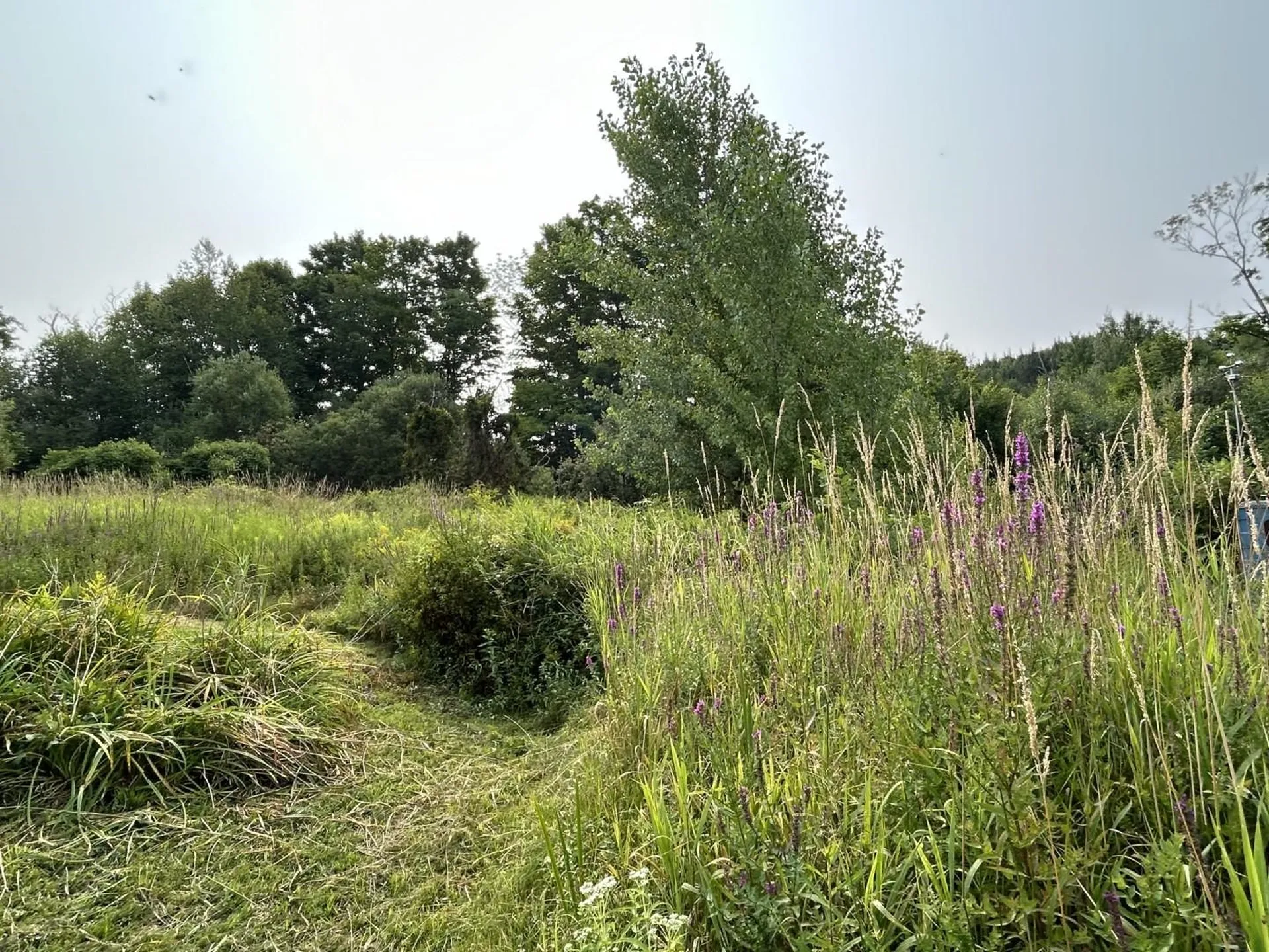 592 Magee Hill Road Hinesburg VT 05461