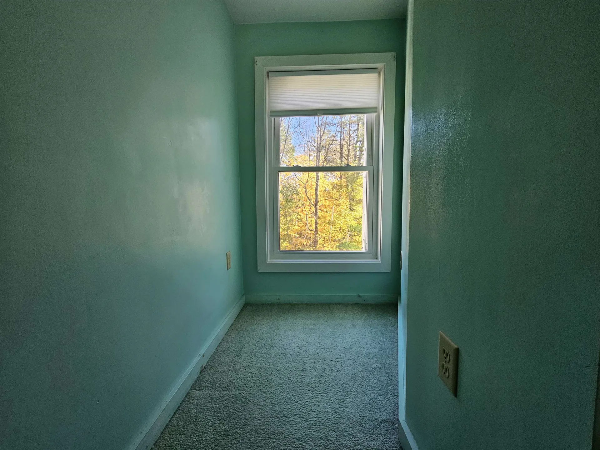 53 Tenney Mountain Road Plymouth NH 03264