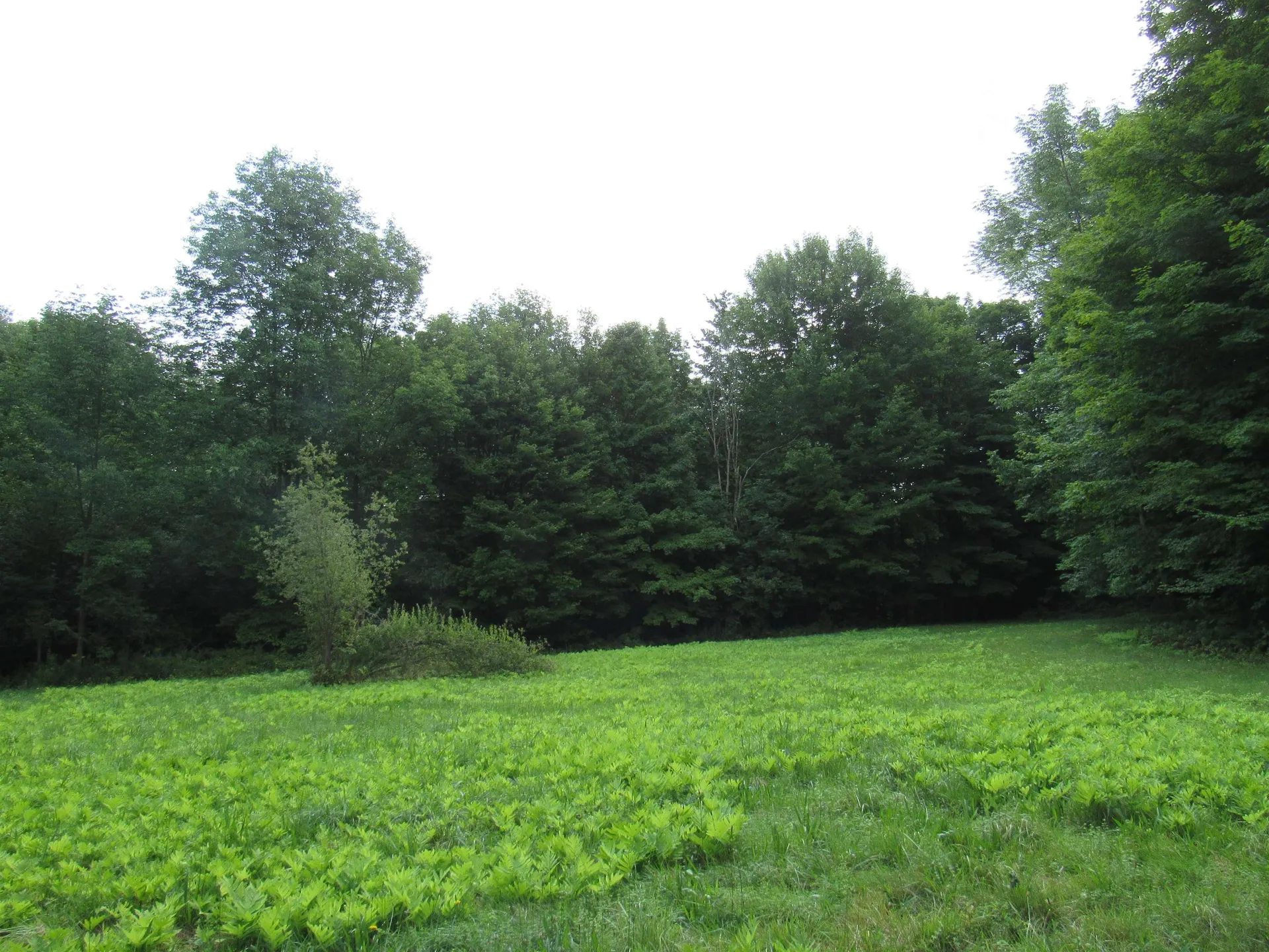 Highland Avenue Troy VT 05868