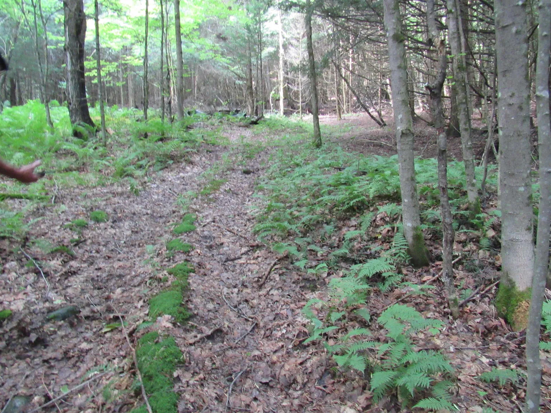 Highland Avenue Troy VT 05868