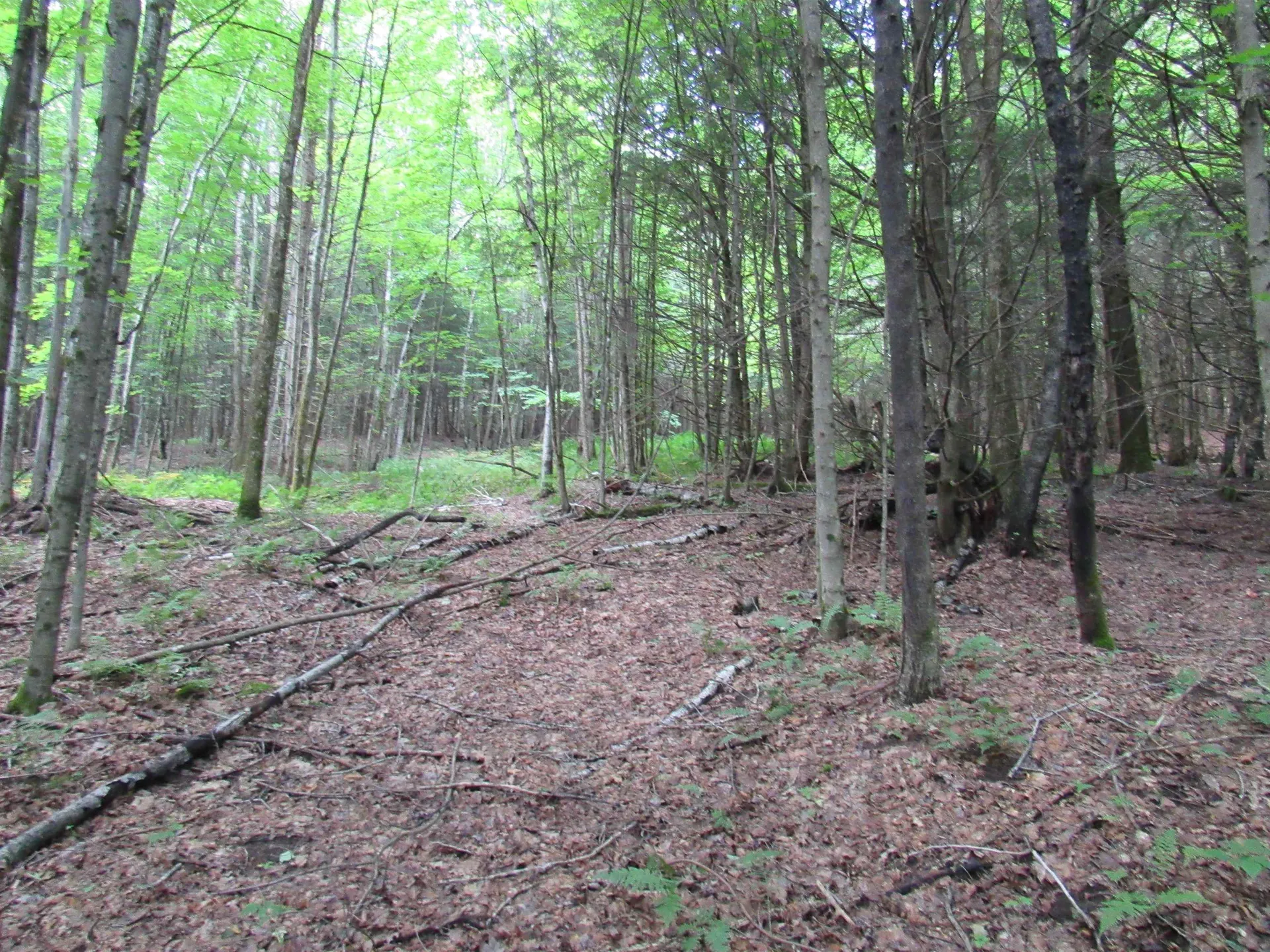 Highland Avenue Troy VT 05868