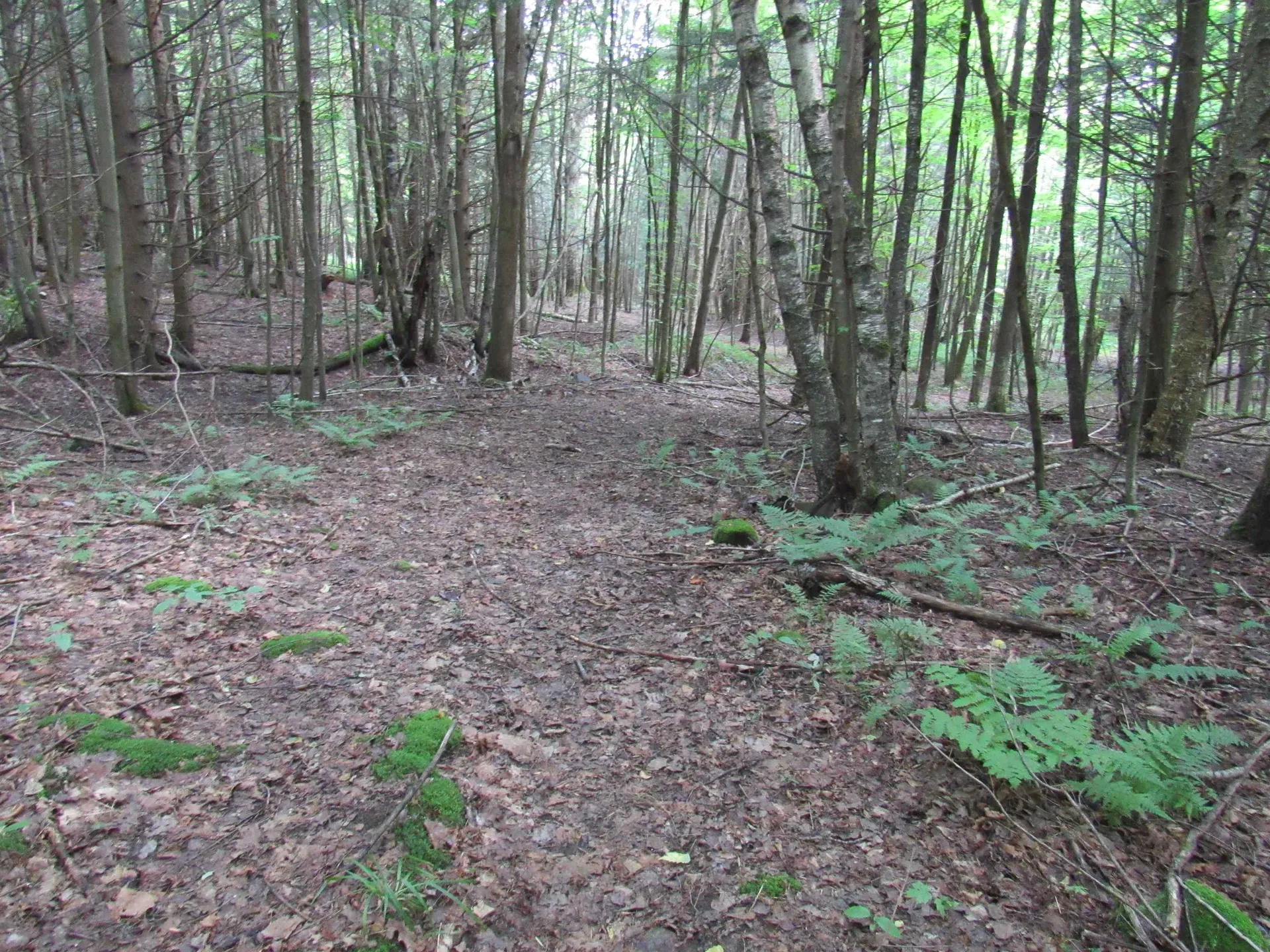 Highland Avenue Troy VT 05868