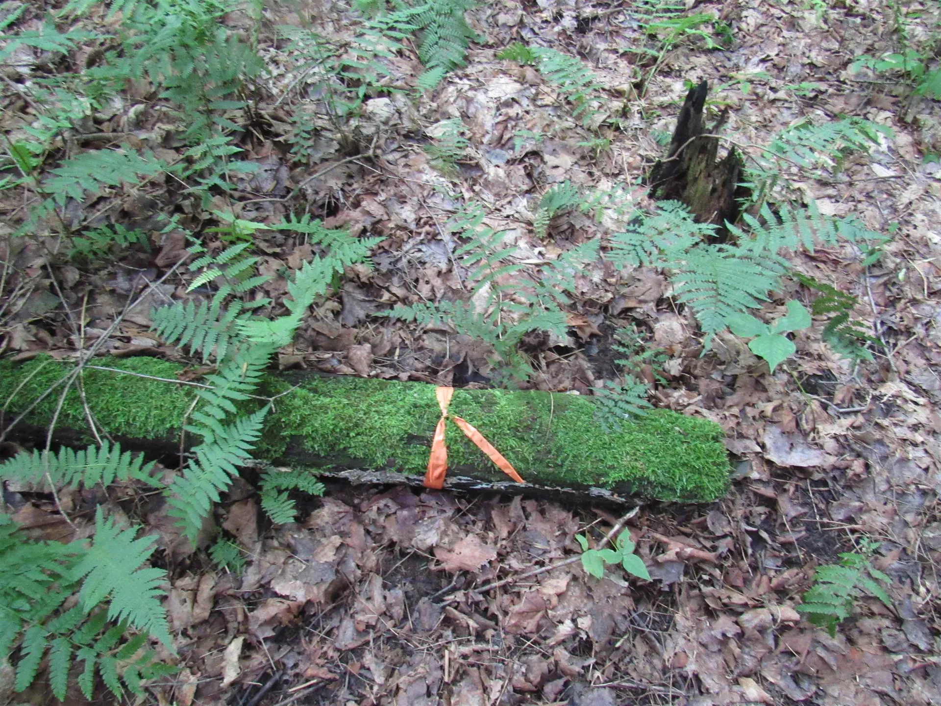 Highland Avenue Troy VT 05868