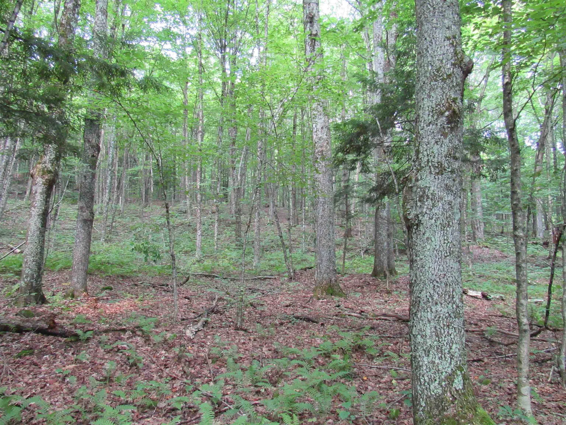 Highland Avenue Troy VT 05868