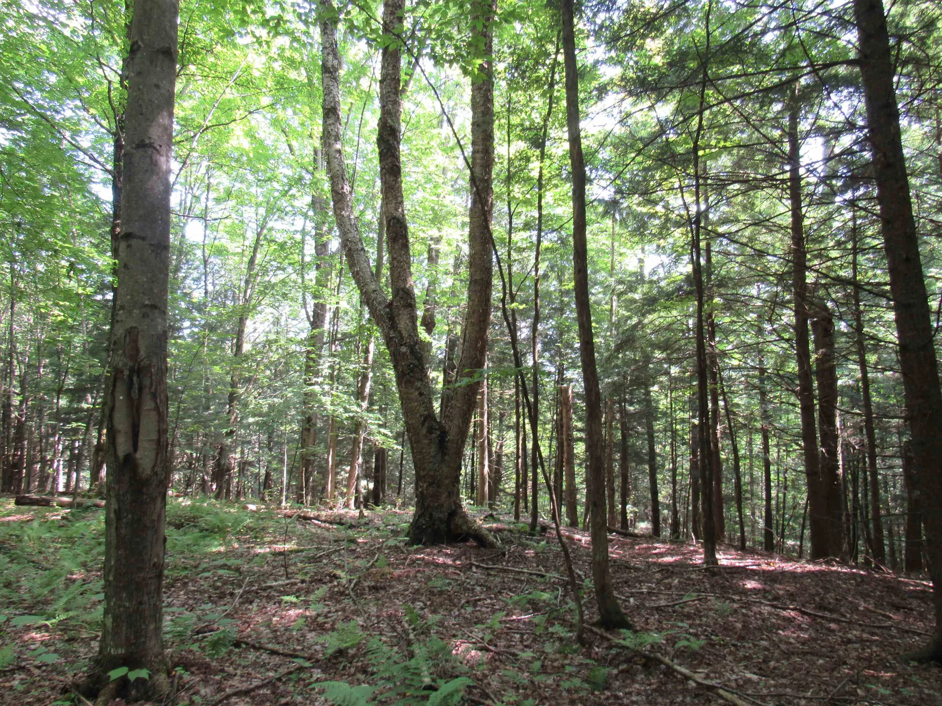 Highland Avenue Troy VT 05868