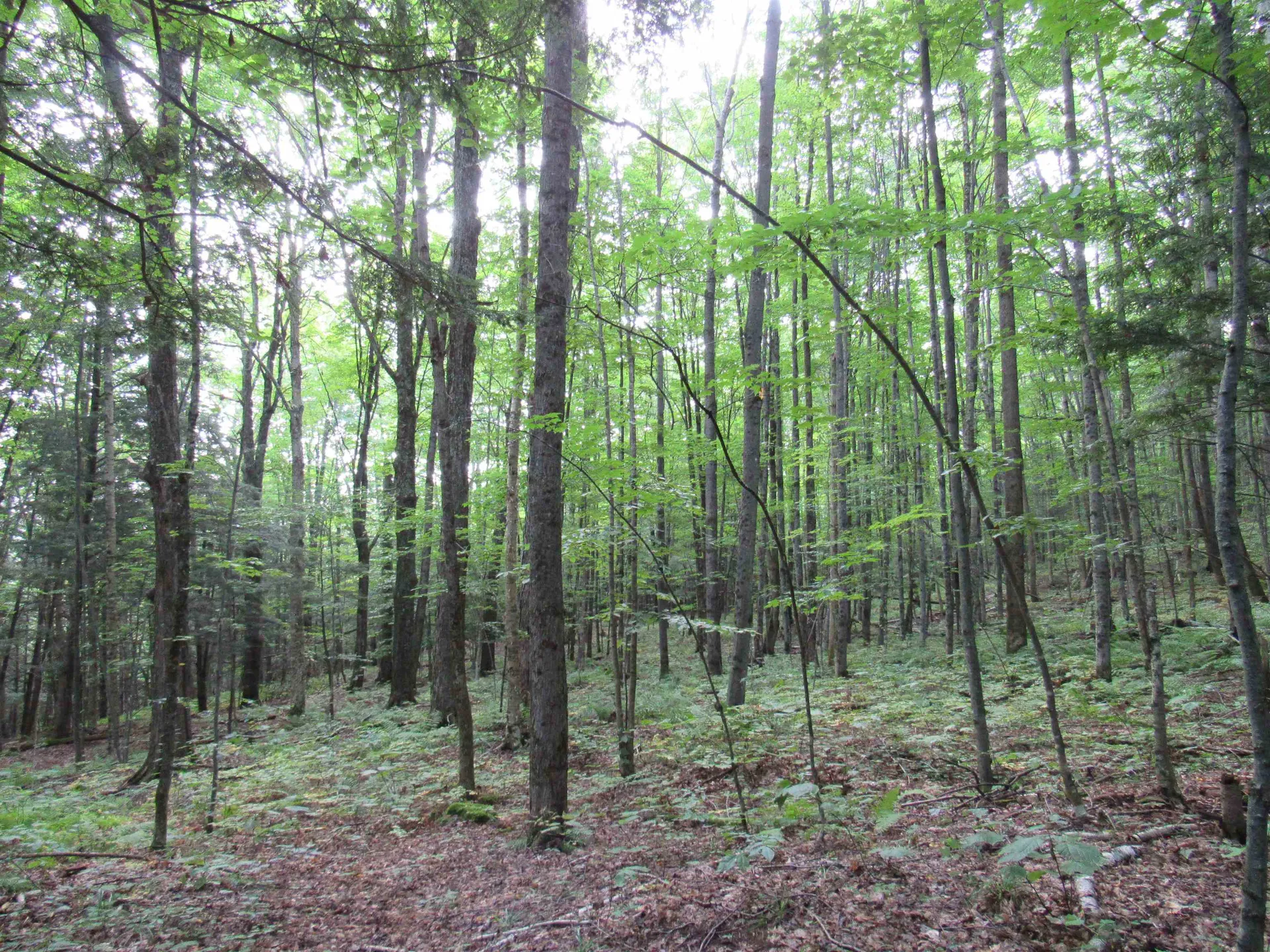 Highland Avenue Troy VT 05868