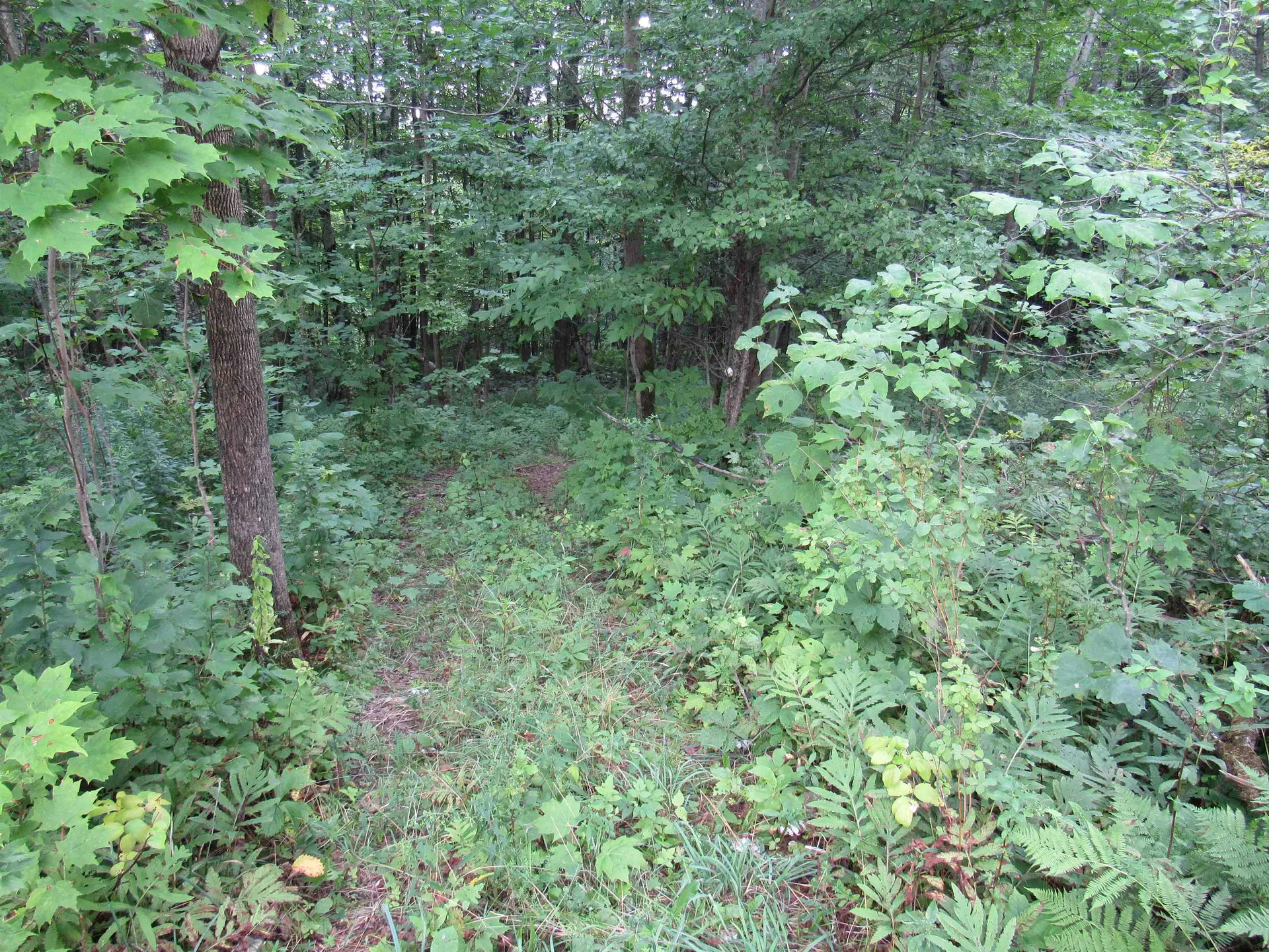 Highland Avenue Troy VT 05868