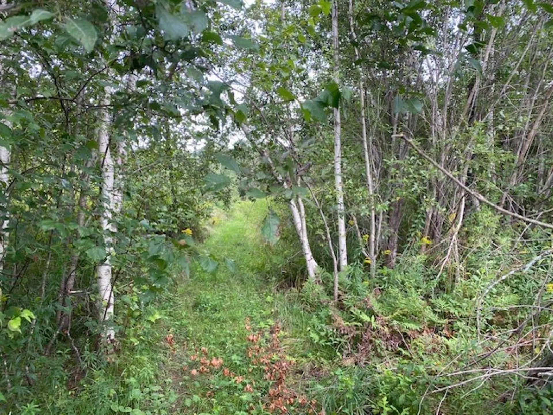 Highland Avenue Troy VT 05868