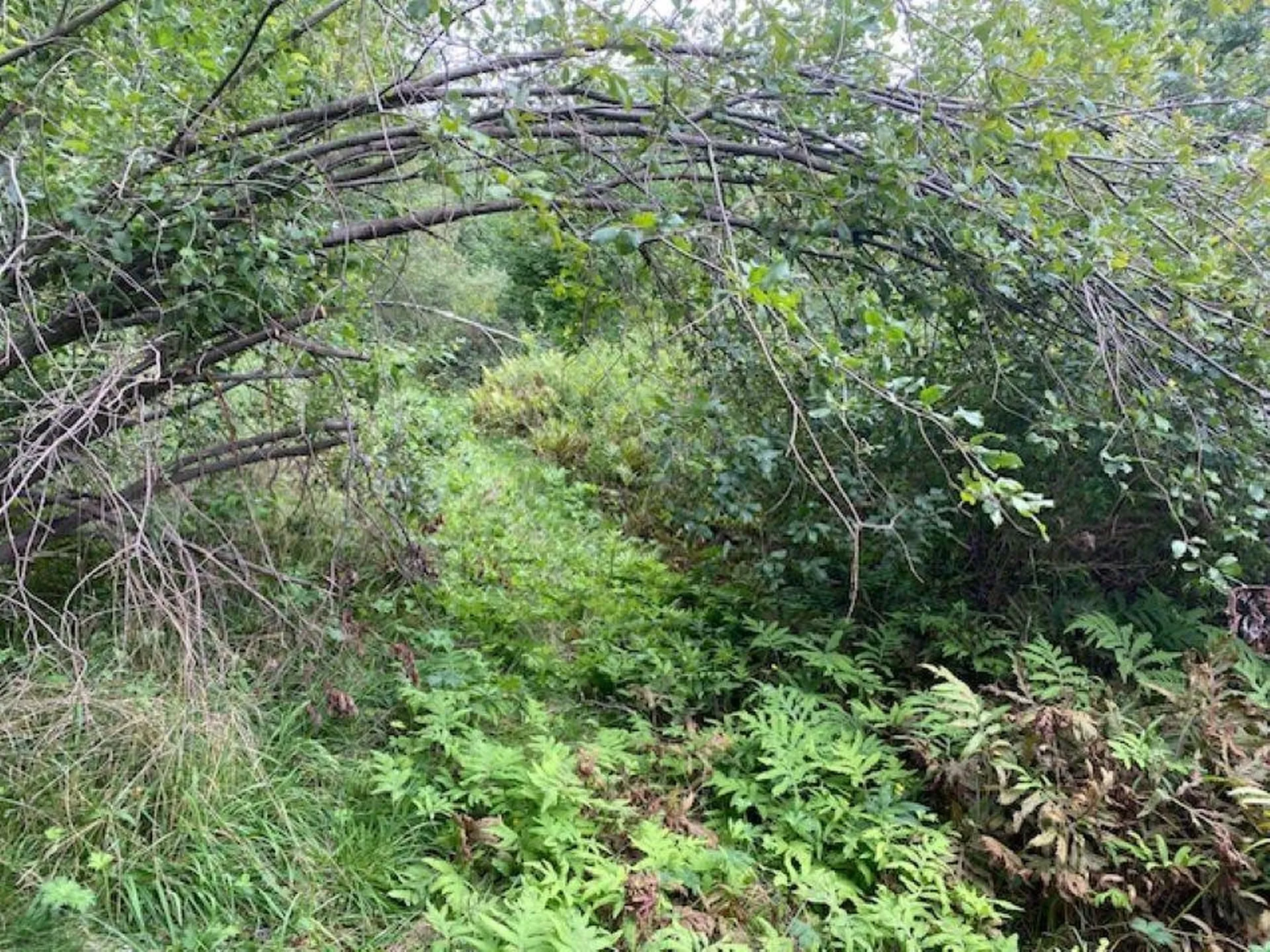 Highland Avenue Troy VT 05868