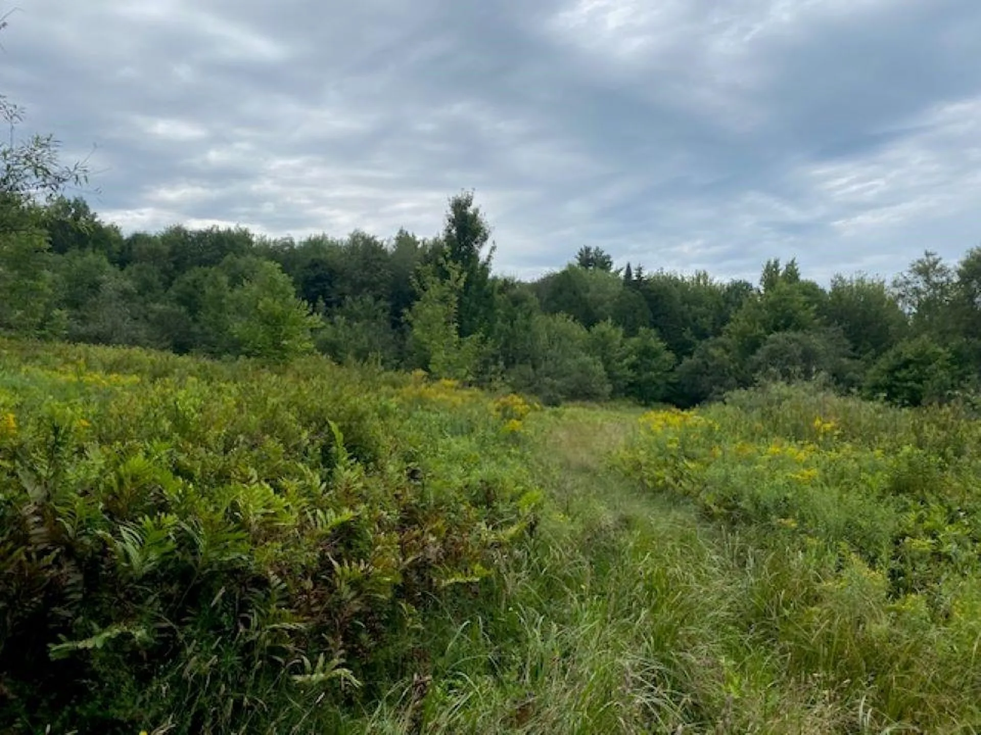 Highland Avenue Troy VT 05868