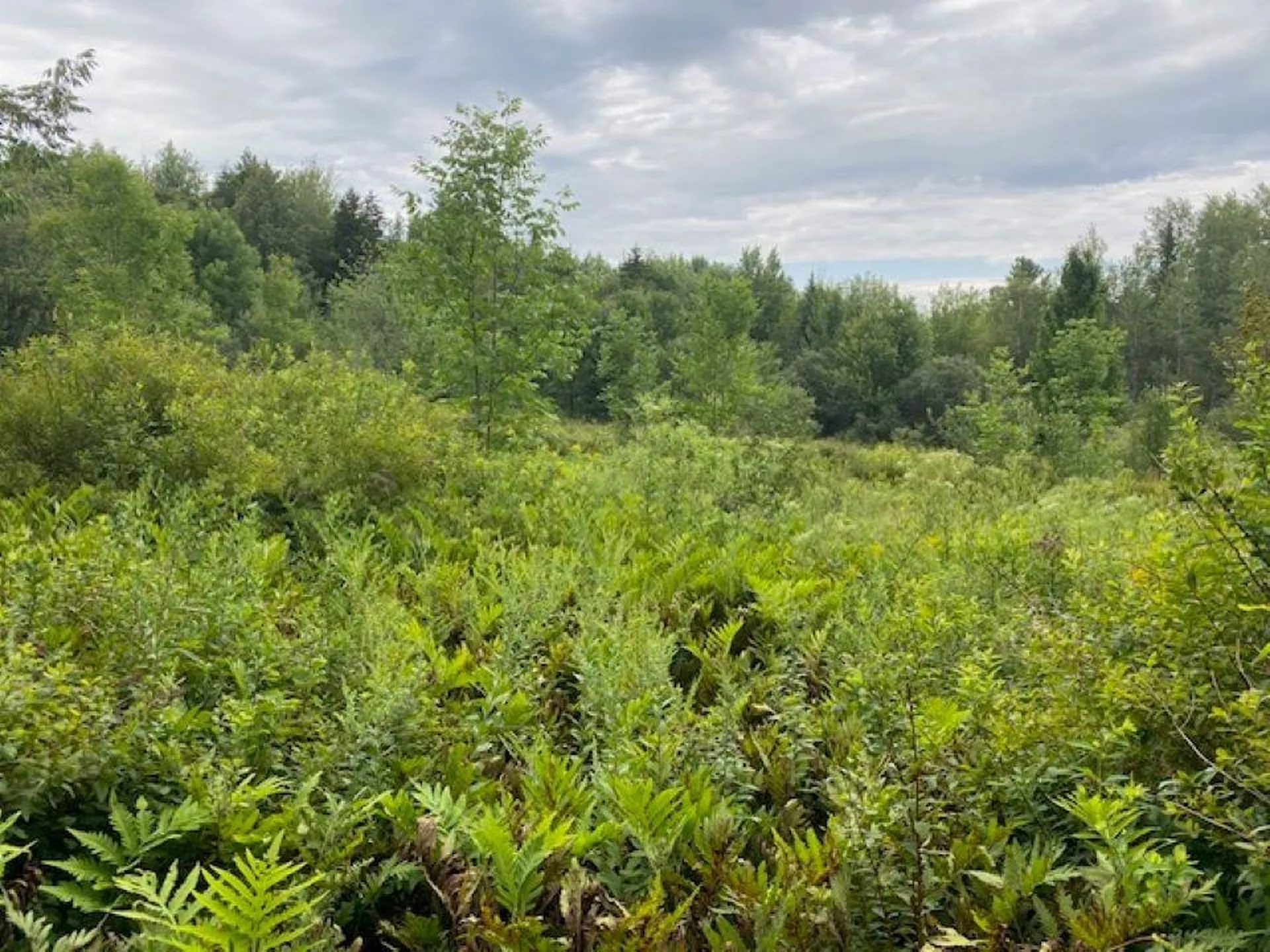 Highland Avenue Troy VT 05868