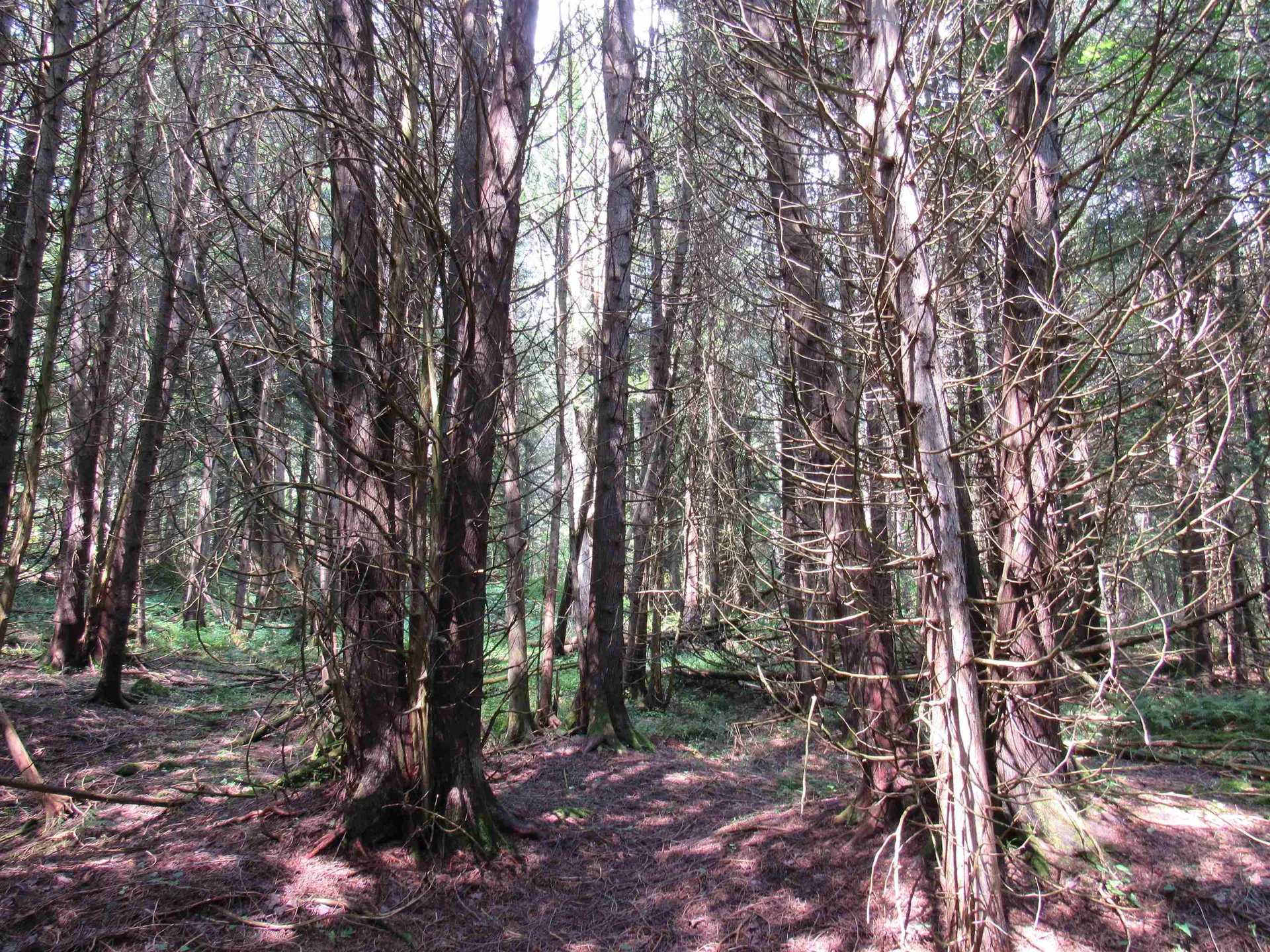 Highland Avenue Troy VT 05868