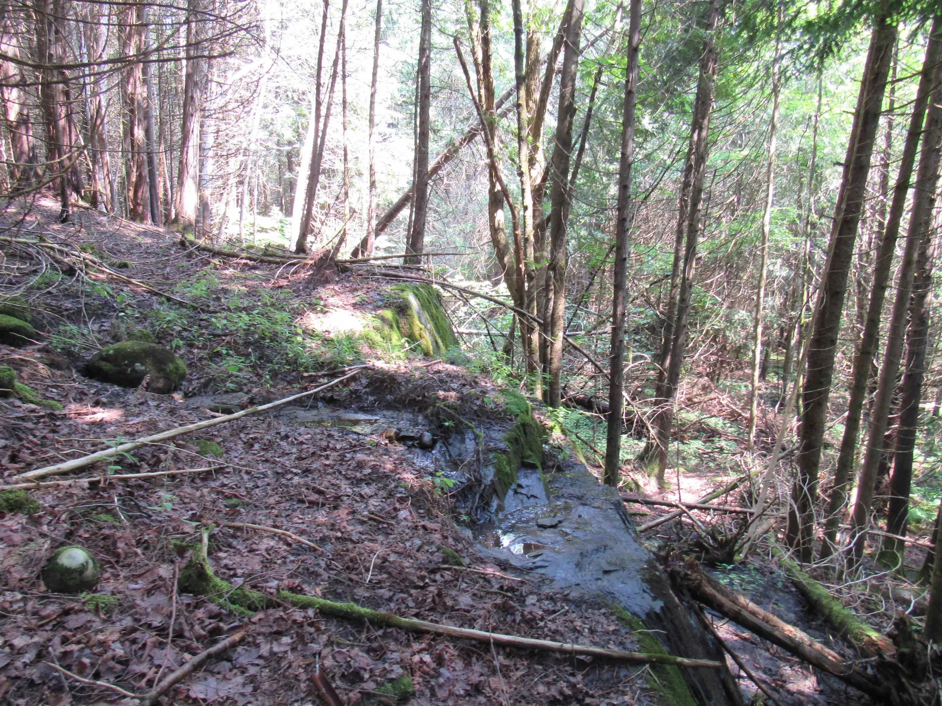 Highland Avenue Troy VT 05868