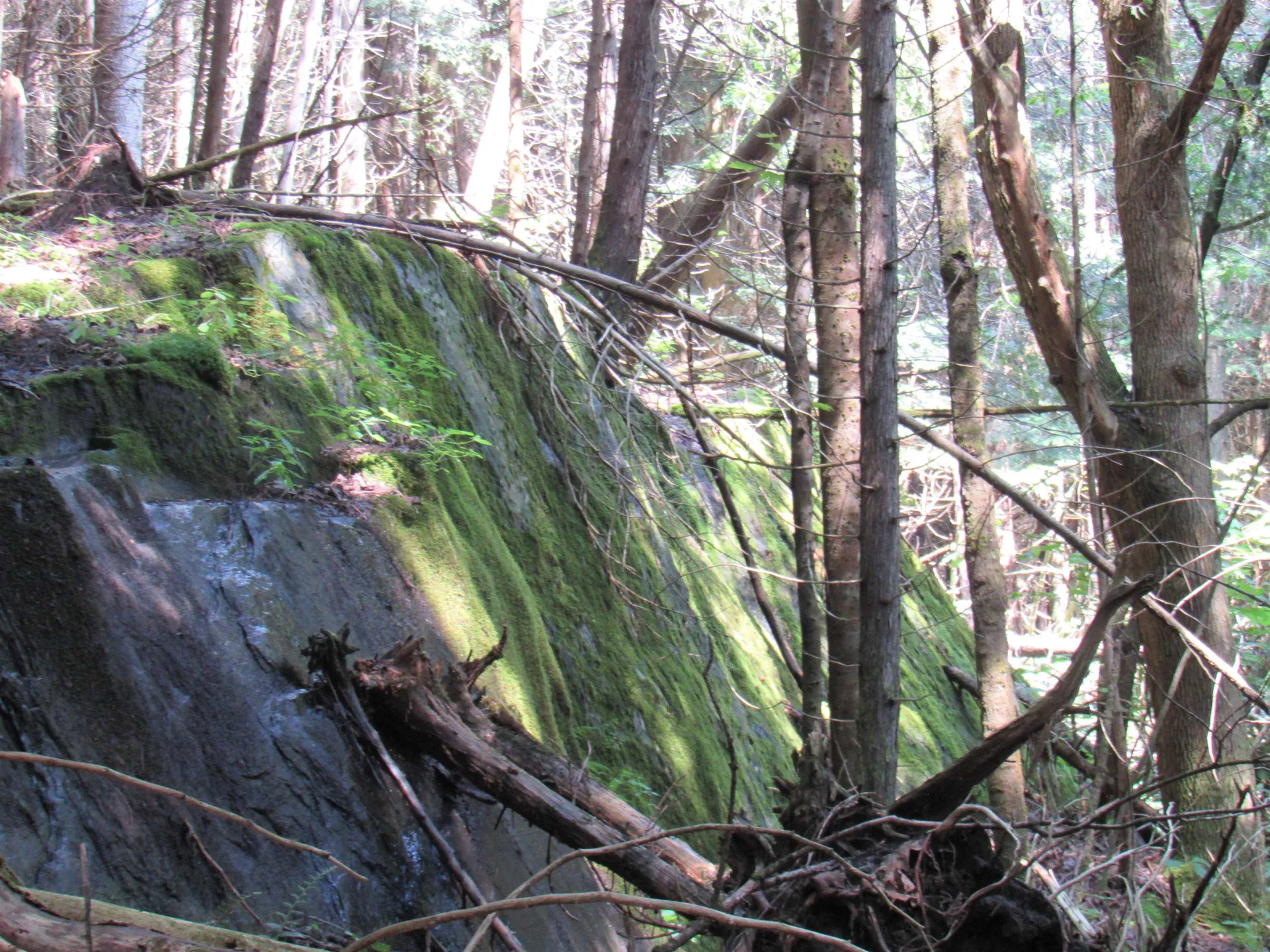 Highland Avenue Troy VT 05868