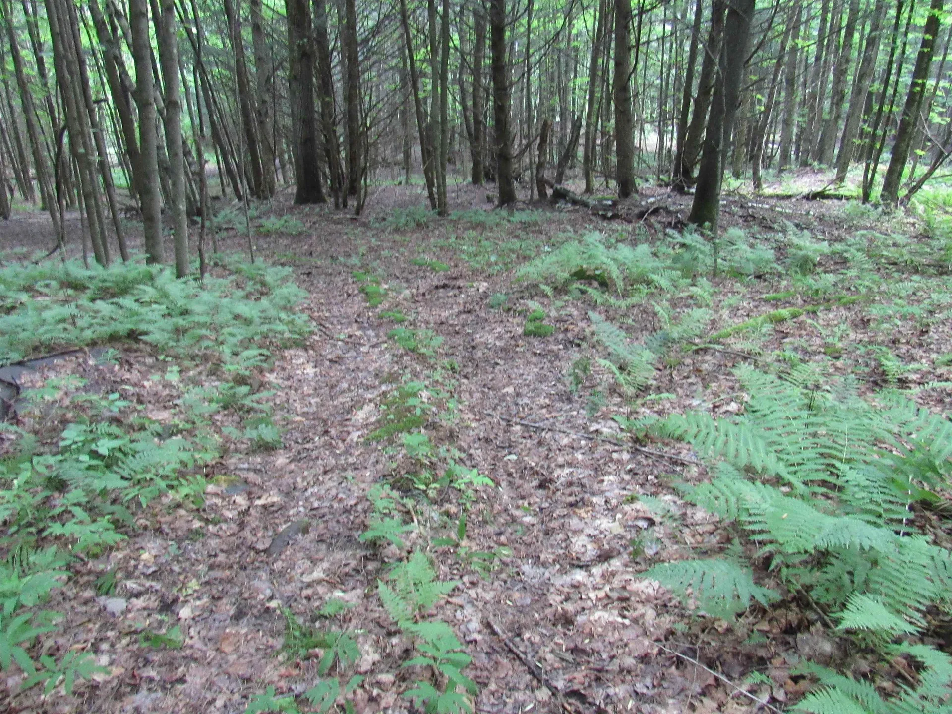 Highland Avenue Troy VT 05868