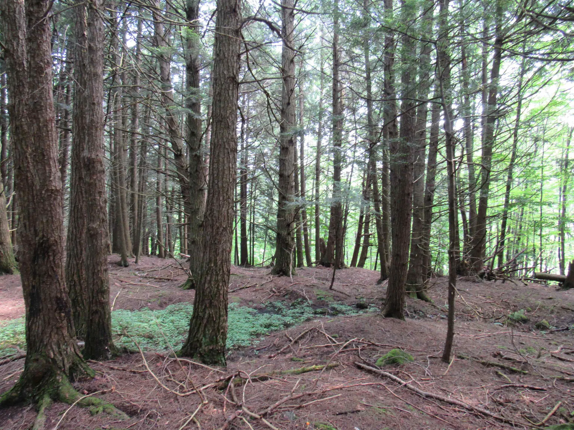 Highland Avenue Troy VT 05868