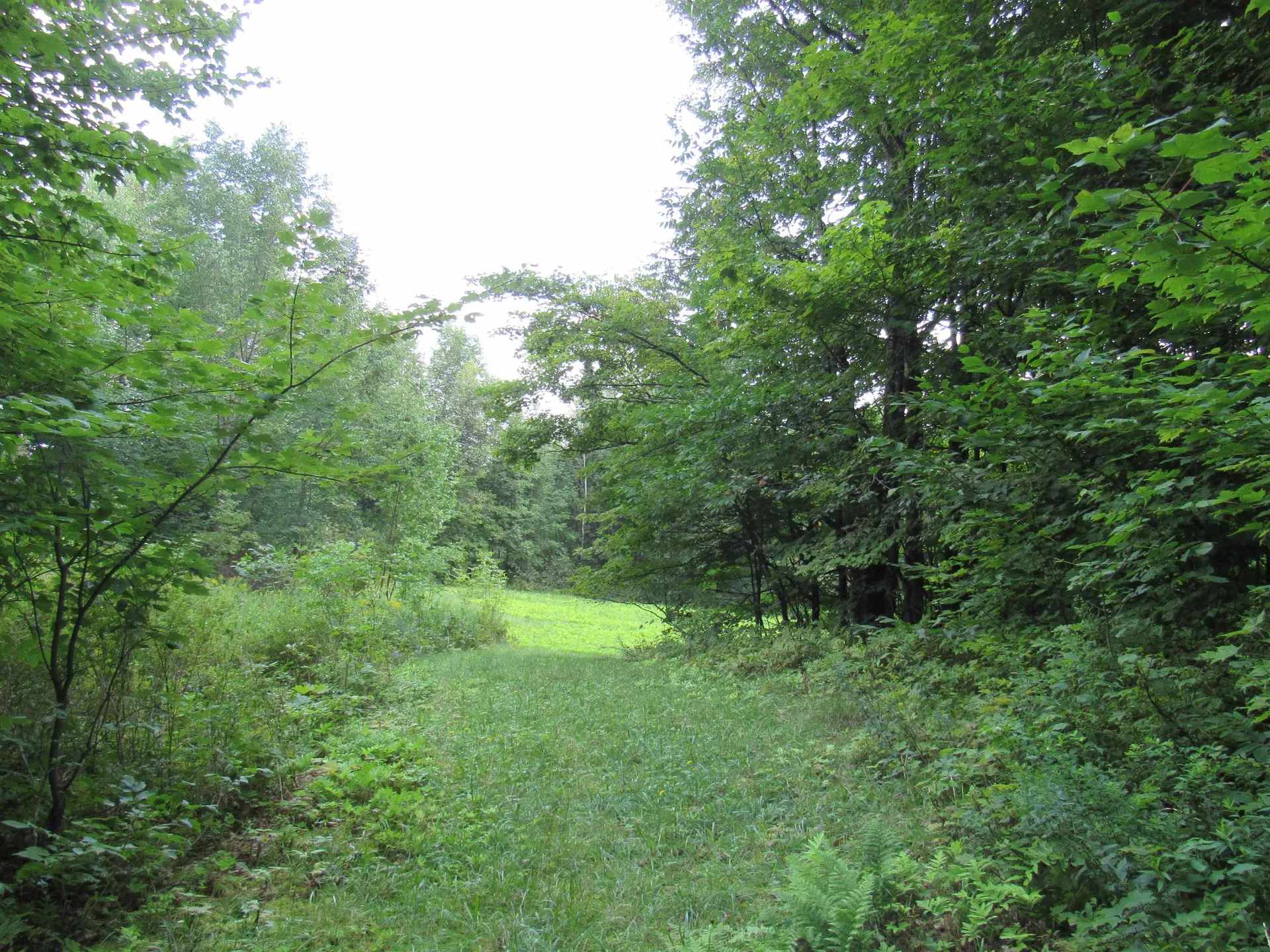 Highland Avenue Troy VT 05868