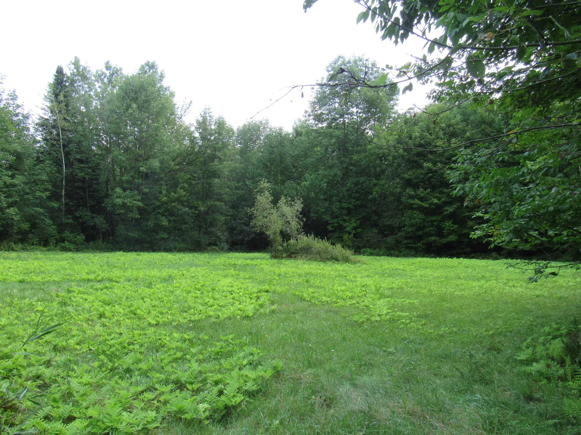 Highland Avenue Troy VT 05868