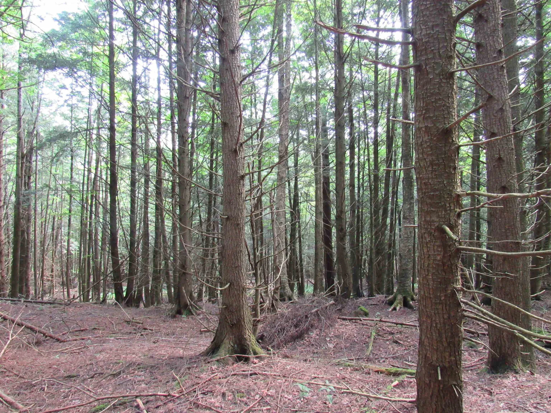 Highland Avenue Troy VT 05868