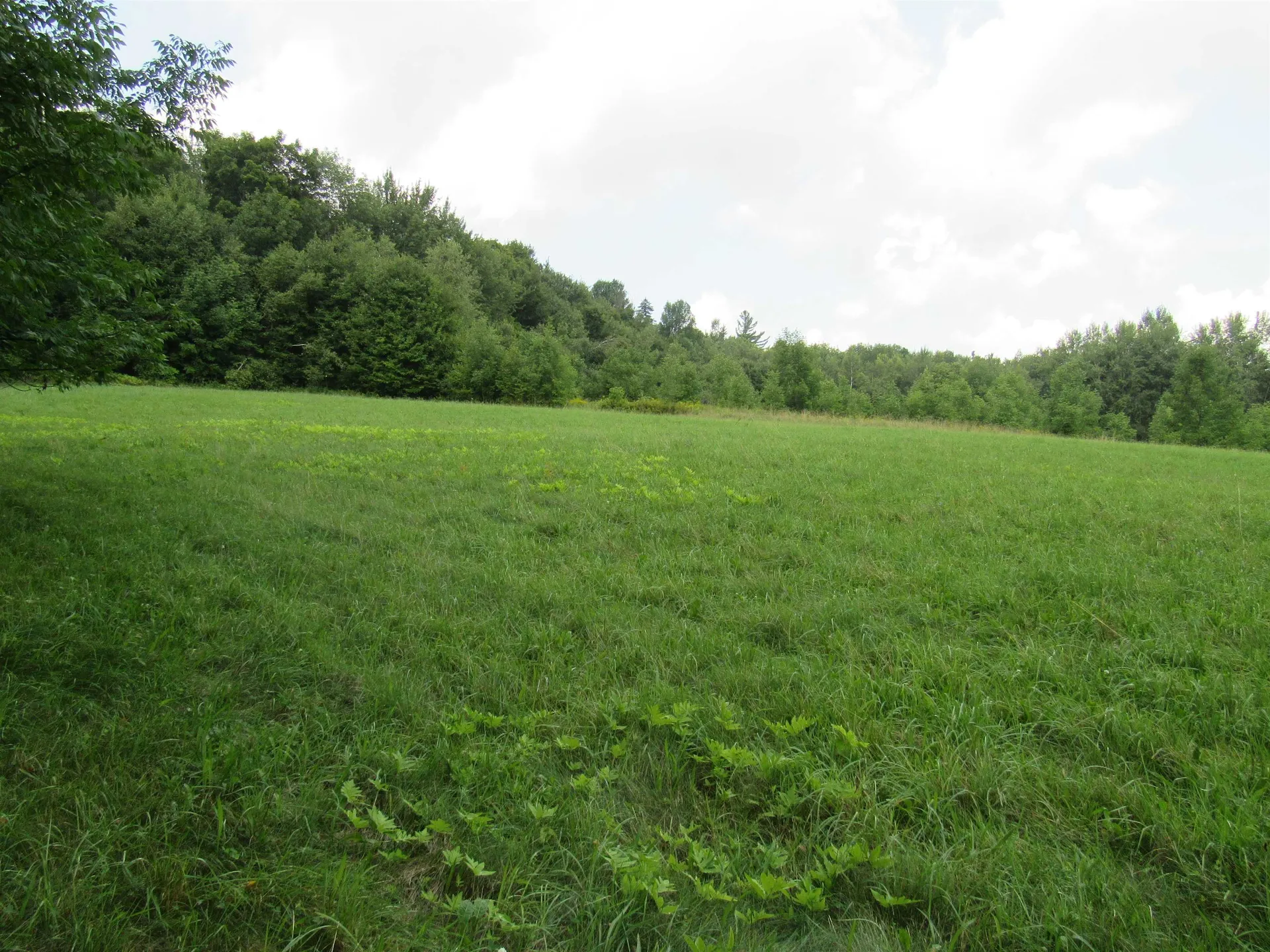 Highland Avenue Troy VT 05868