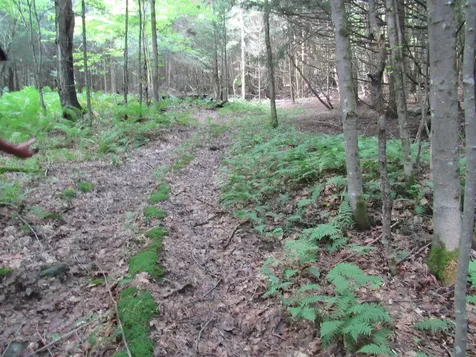 Highland Avenue Troy VT 05868