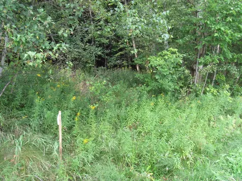 Highland Avenue Troy VT 05868