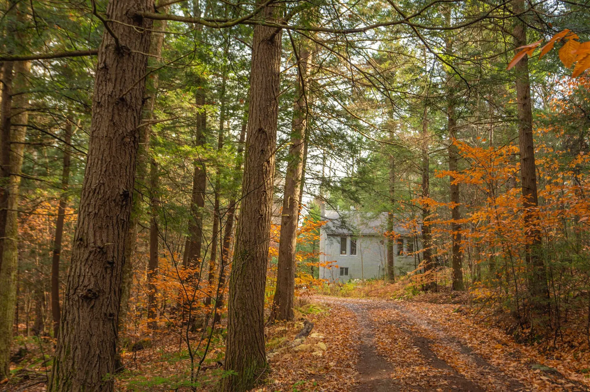 199 Fowler Road Halifax VT 05358