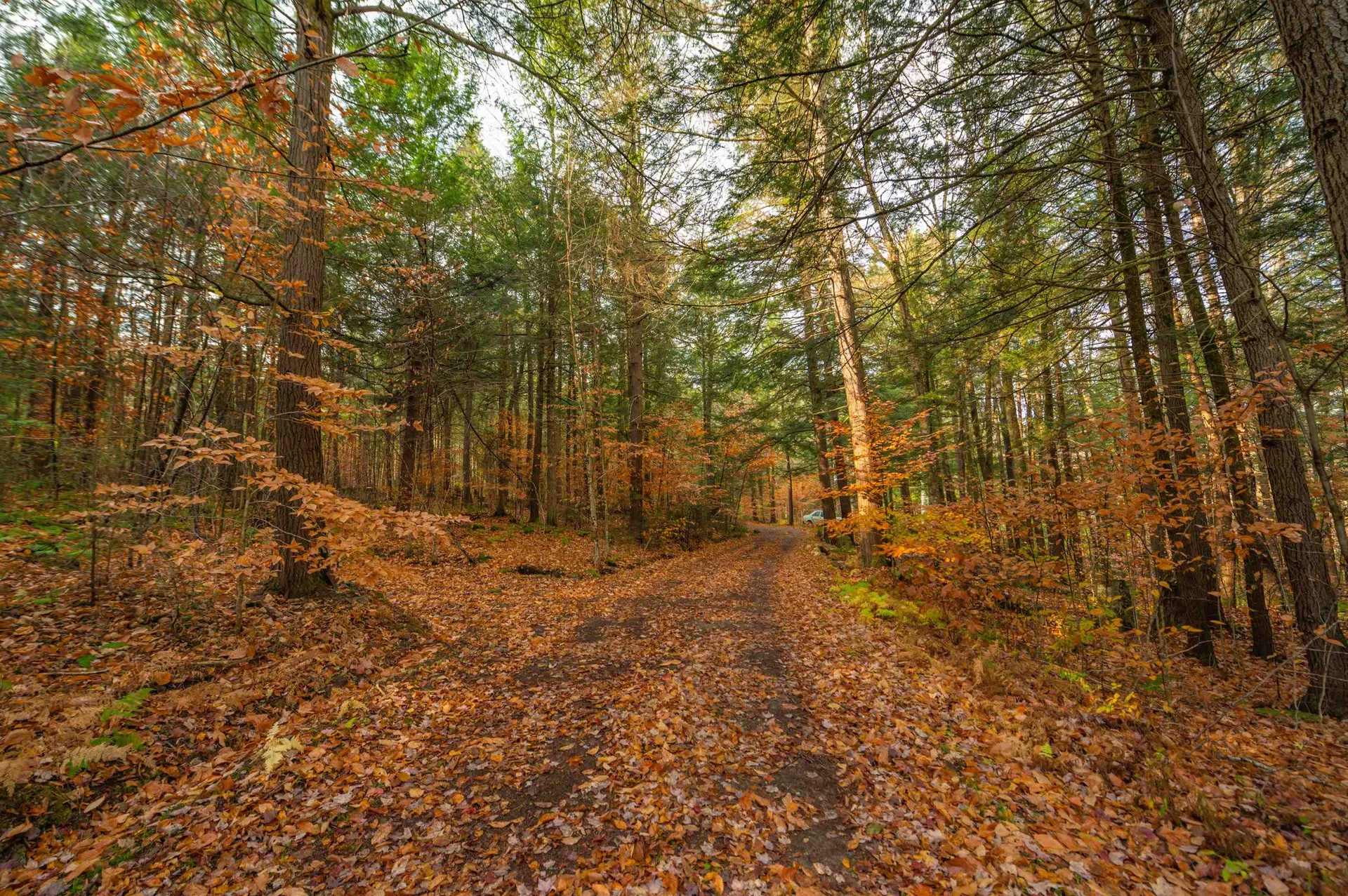 199 Fowler Road Halifax VT 05358