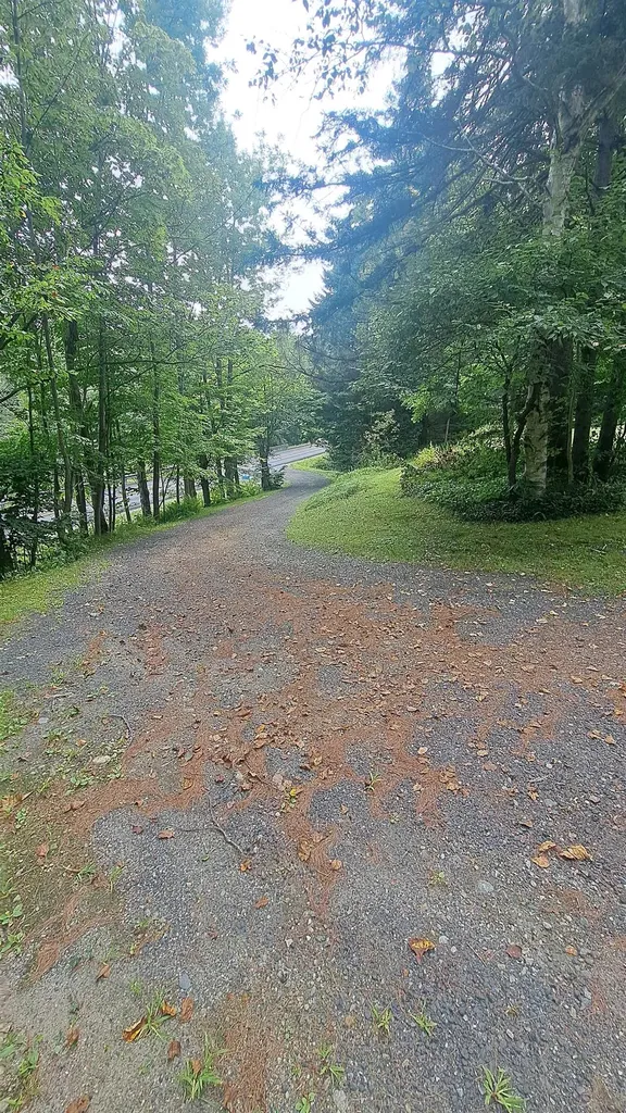 5336 Route 100 Wardsboro VT 05355