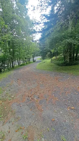 5336 Route 100 Wardsboro VT 05355