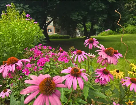 290 Lower Main Street Johnson VT 05656