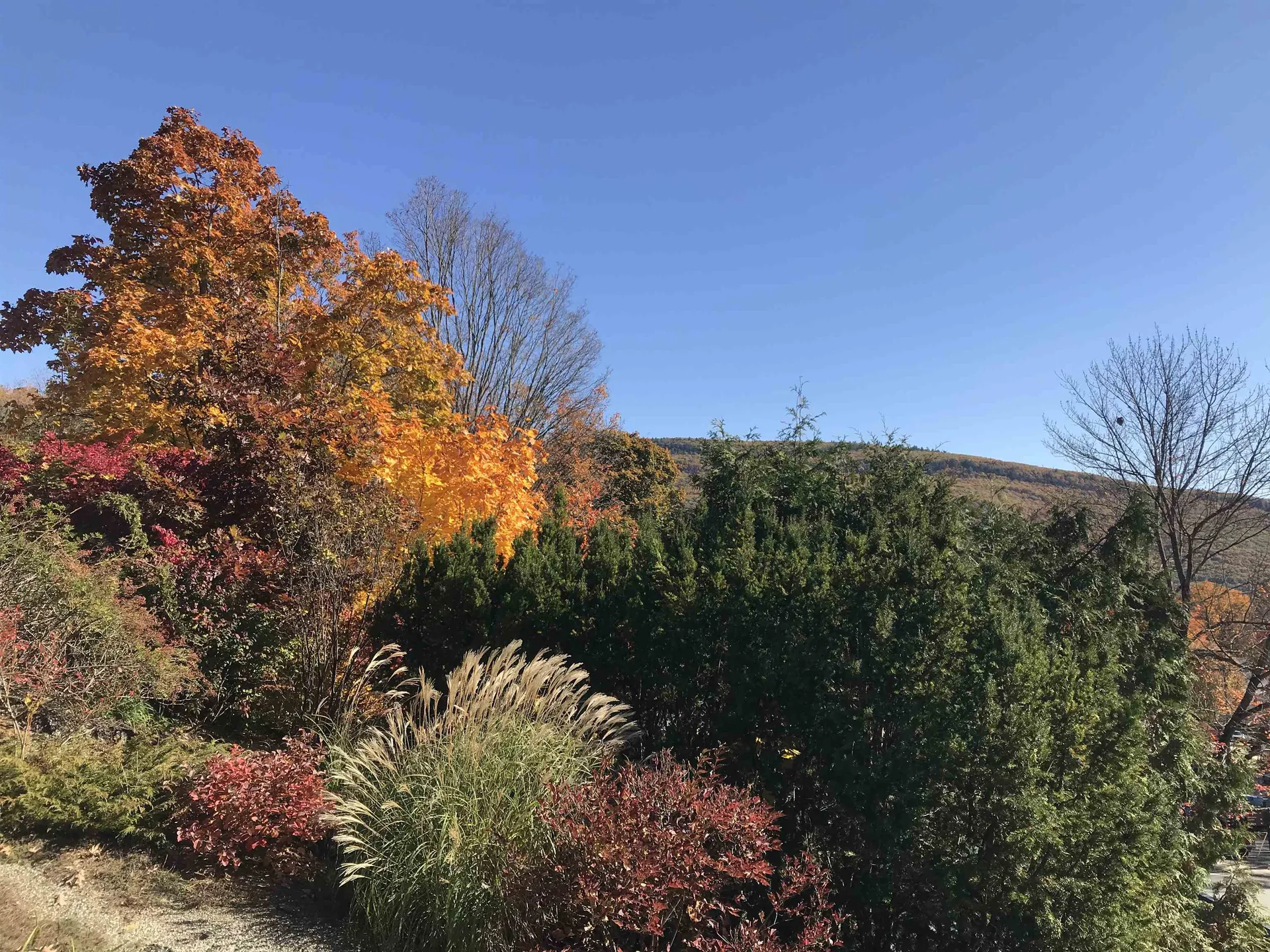 24 Oak Crest Brattleboro VT 05301