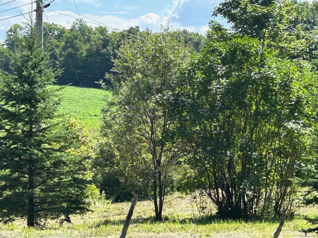 1587 Walden Hill Road Danville VT 05828