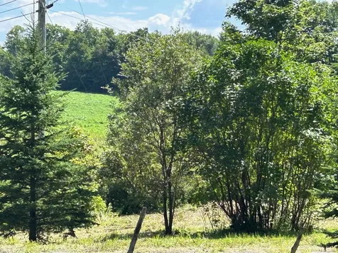 1587 Walden Hill Road Danville VT 05828