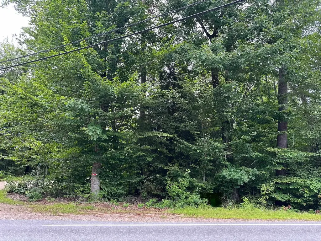 Fox Road Middleton NH 03887