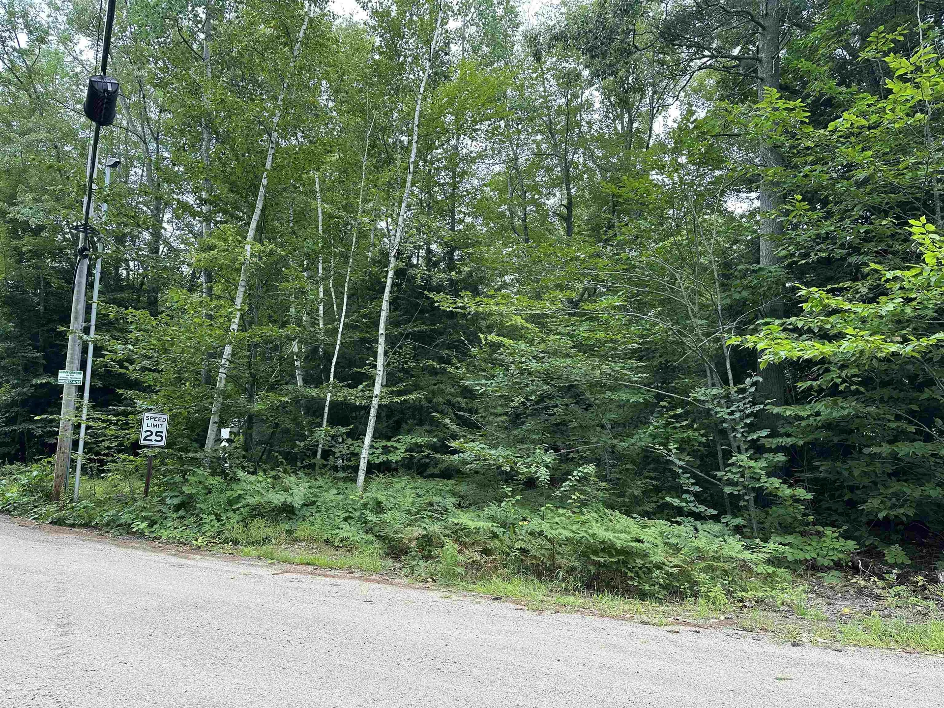 Fox Road Middleton NH 03887