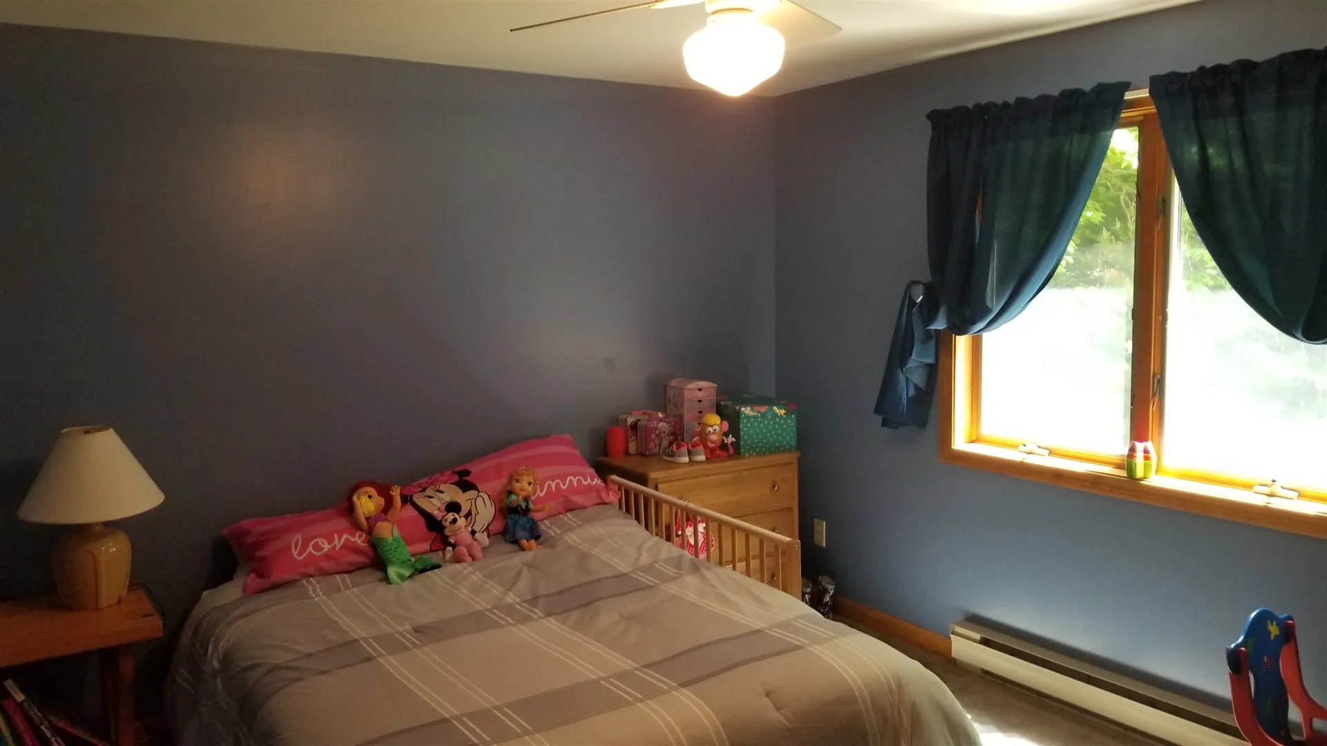 469 Bailey Road Alexandria NH 03222