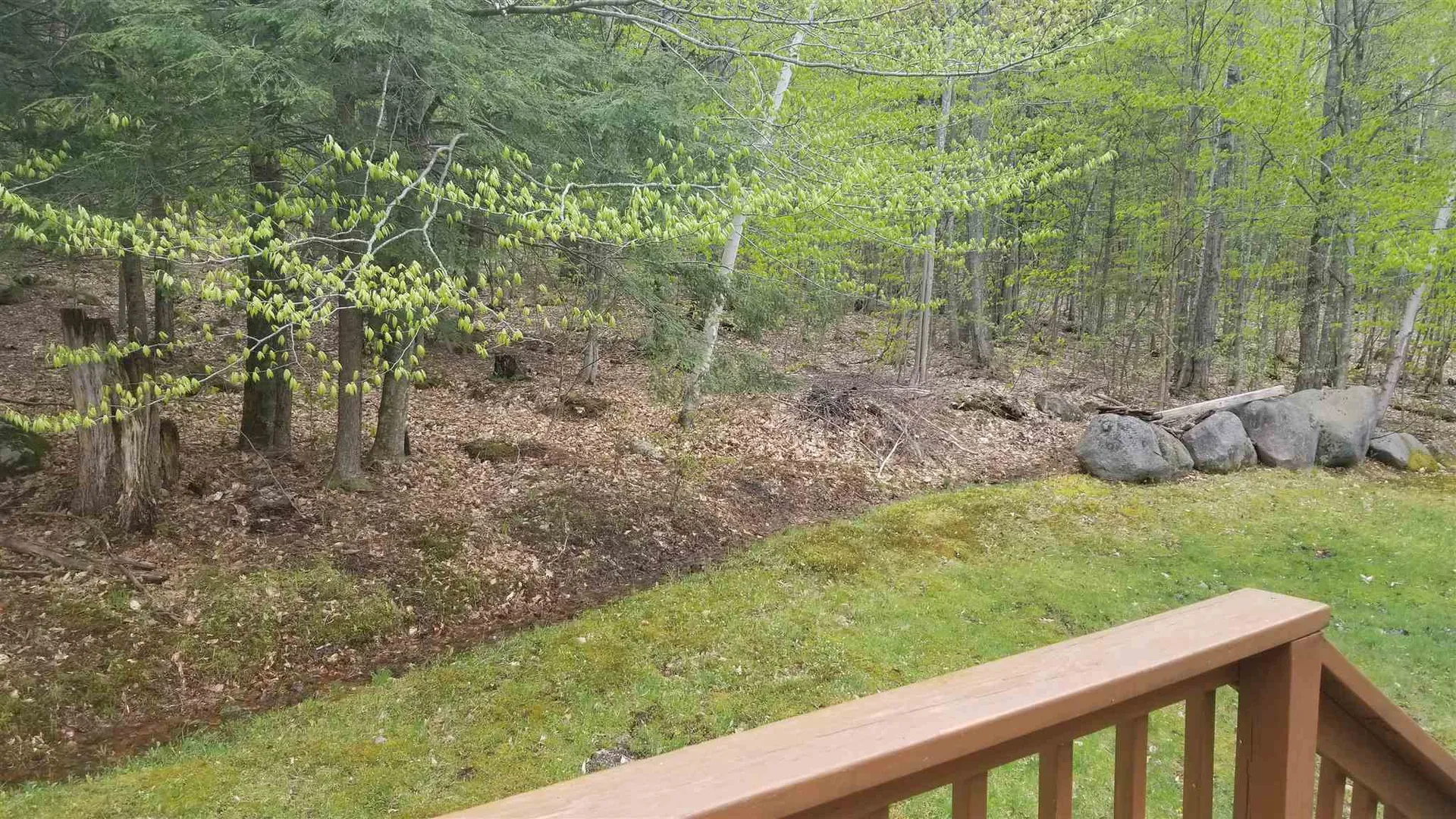 469 Bailey Road Alexandria NH 03222
