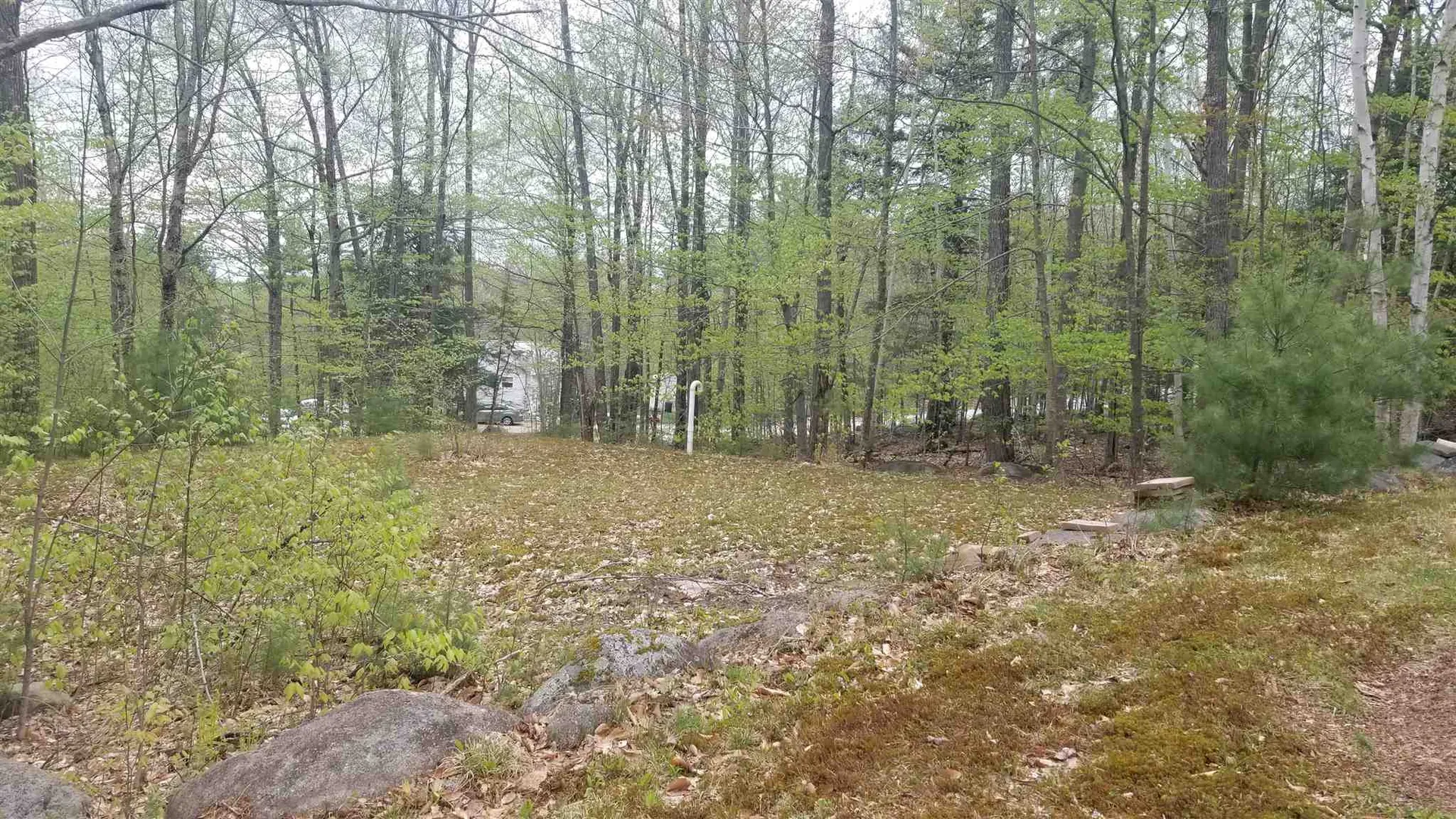 469 Bailey Road Alexandria NH 03222