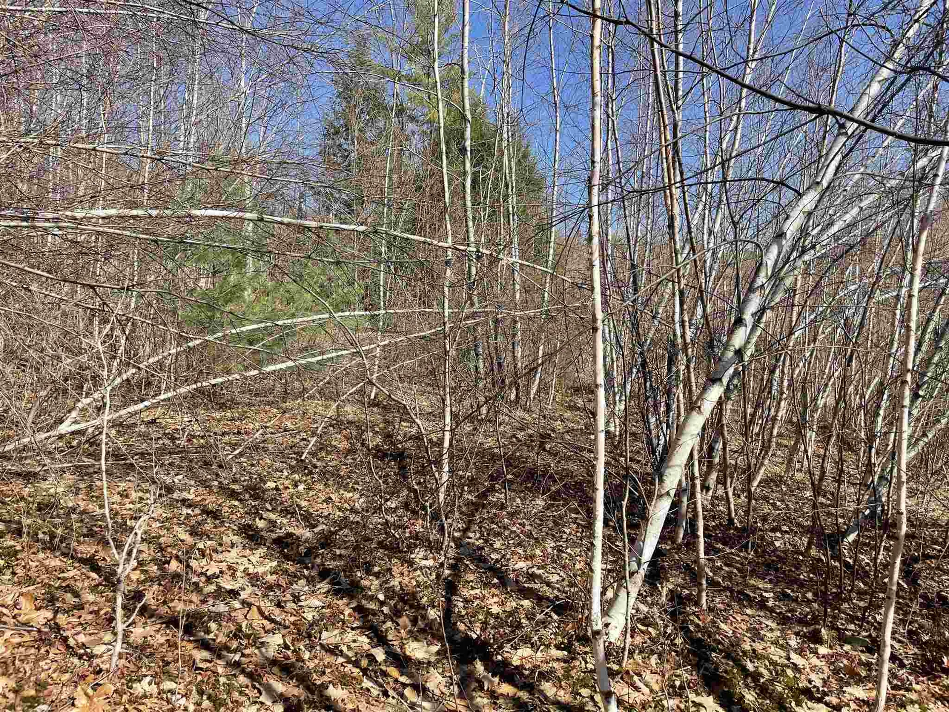 211-008 Rising Slopes Drive Bristol NH 03222