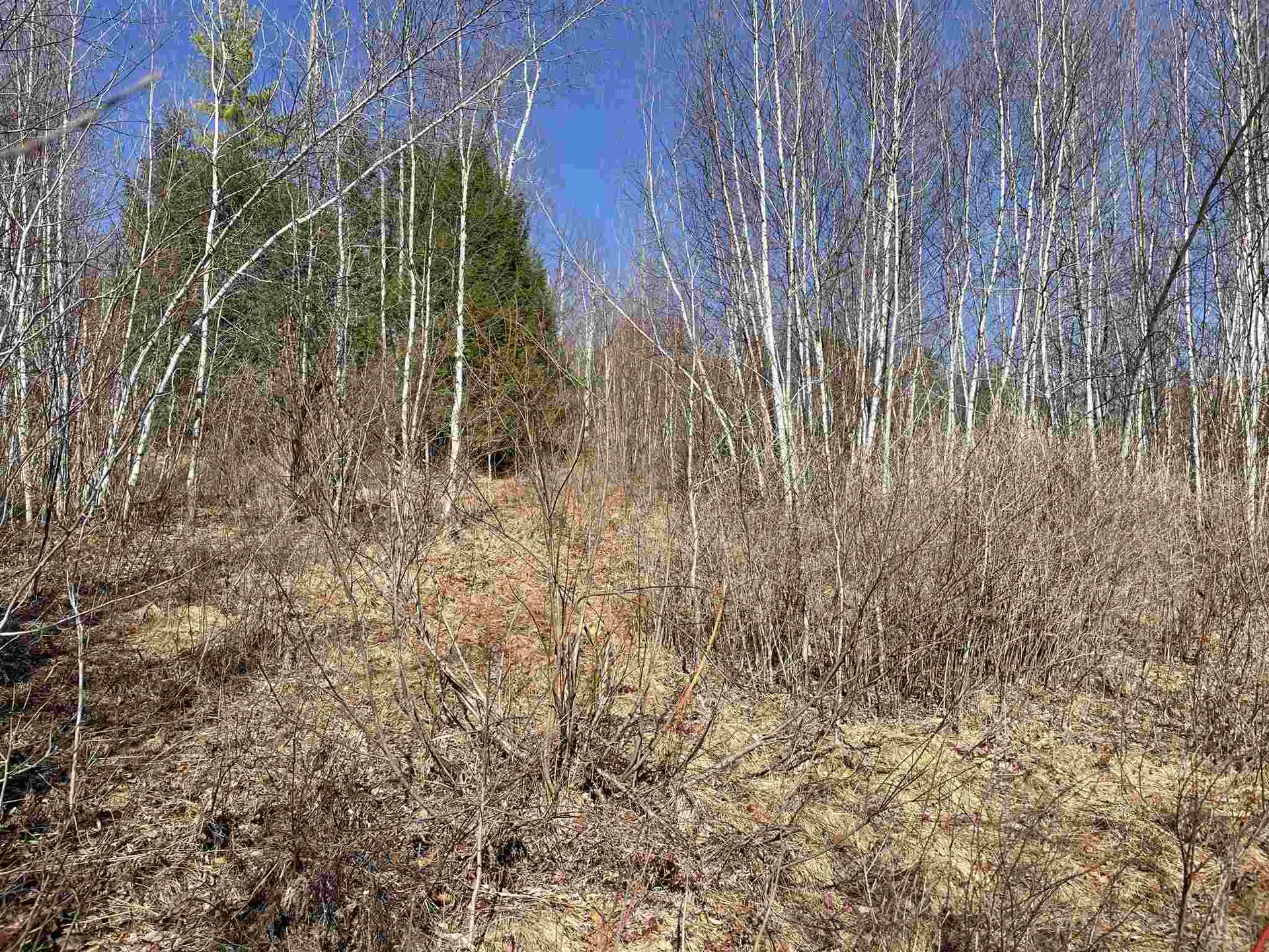 211-008 Rising Slopes Drive Bristol NH 03222