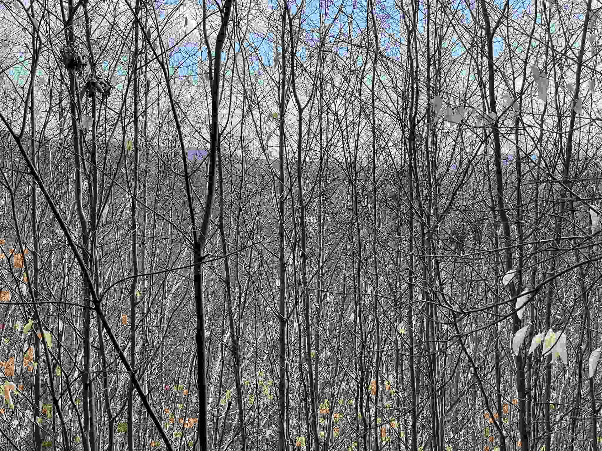 211-008 Rising Slopes Drive Bristol NH 03222