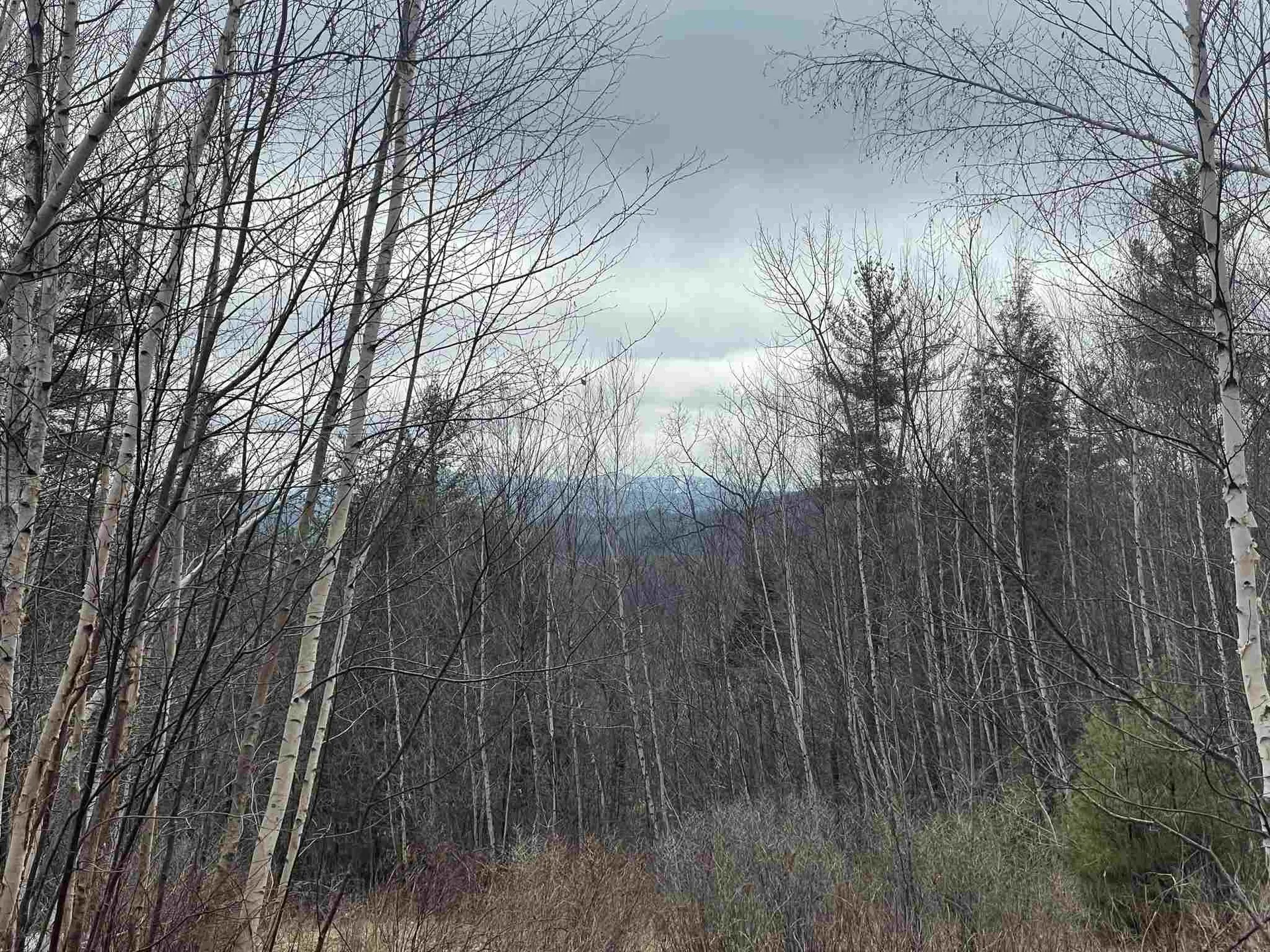 211-008 Rising Slopes Drive Bristol NH 03222