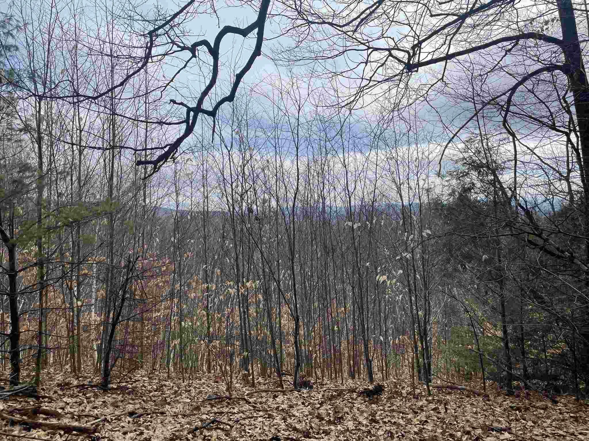 211-008 Rising Slopes Drive Bristol NH 03222