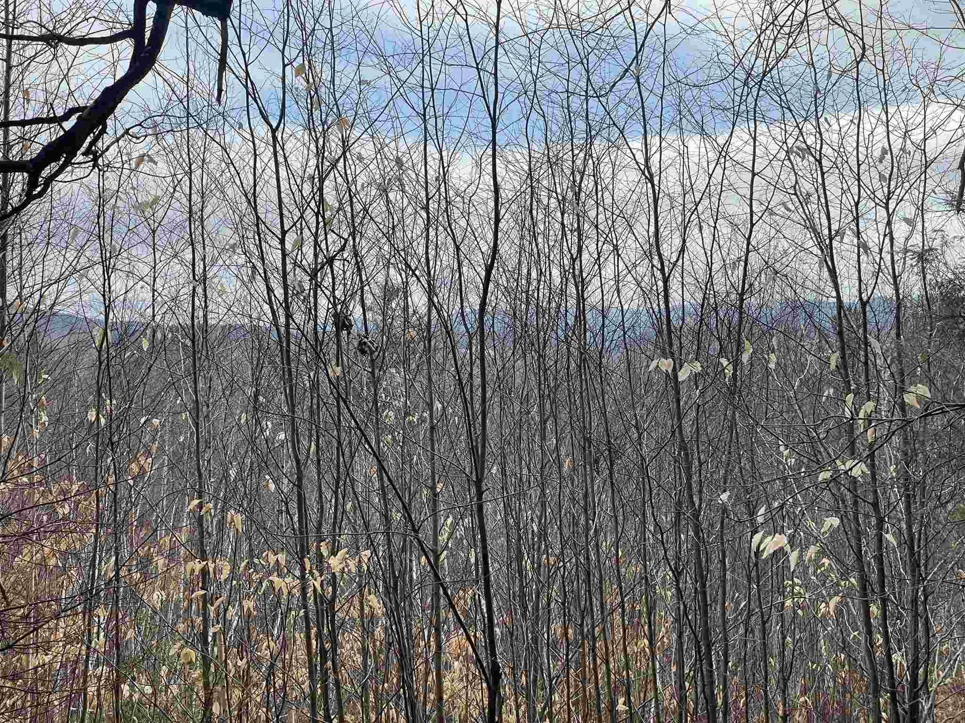 211-008 Rising Slopes Drive Bristol NH 03222