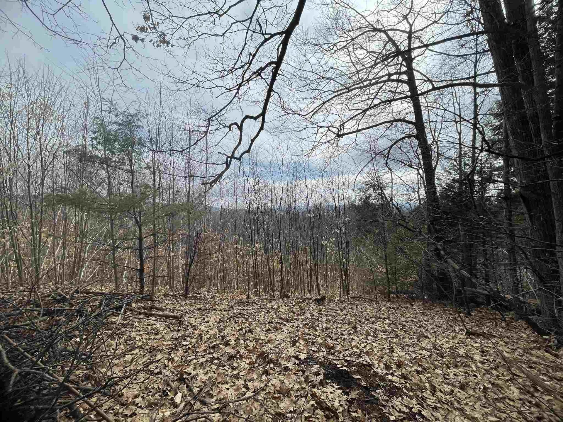 211-008 Rising Slopes Drive Bristol NH 03222