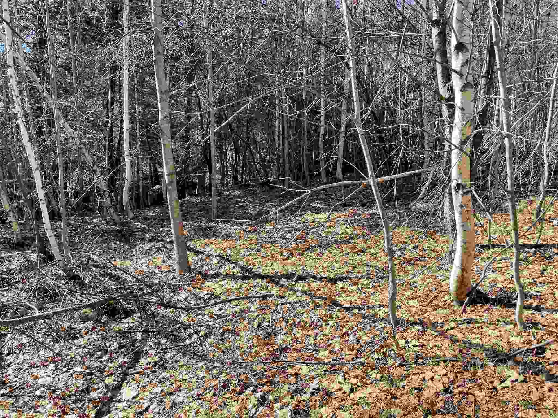 211-008 Rising Slopes Drive Bristol NH 03222