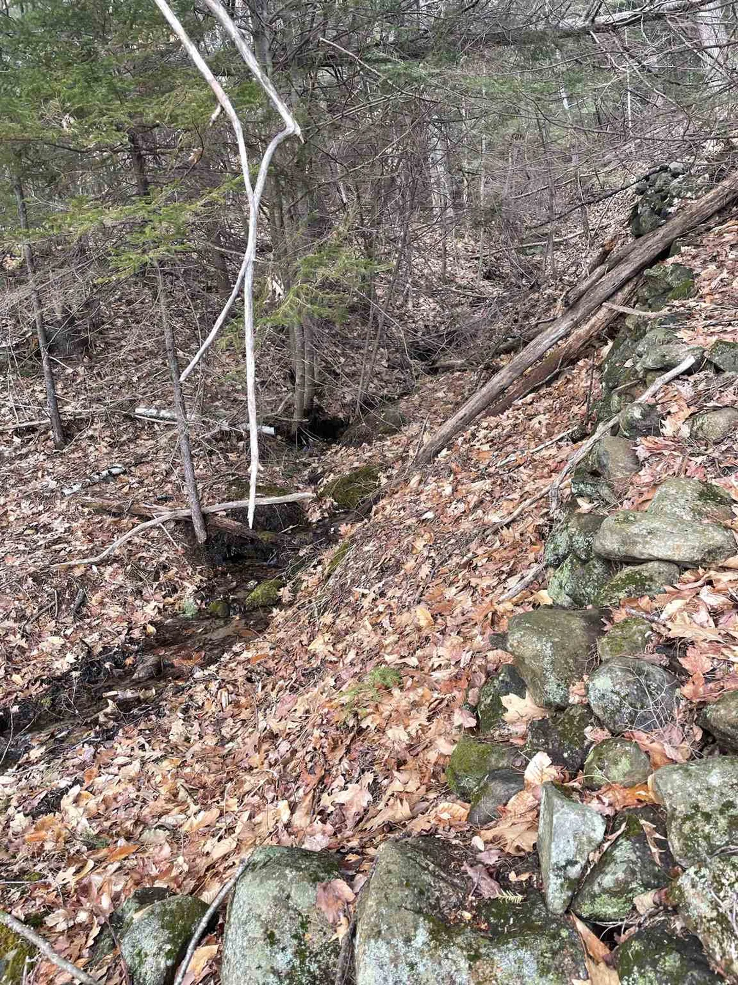 211-008 Rising Slopes Drive Bristol NH 03222